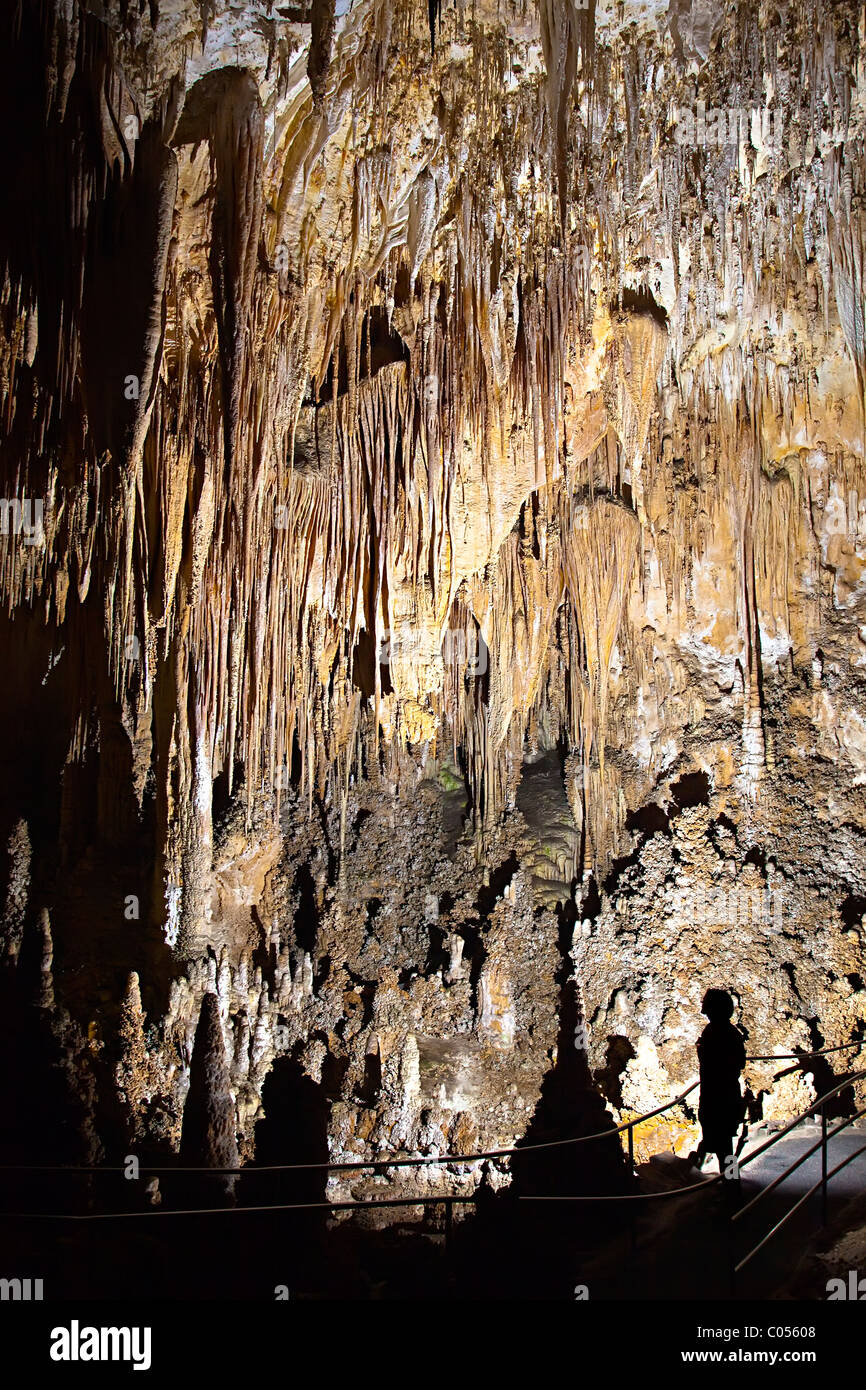 Cave formations in Carlsbad Caverns New Mexico USA Stock Photo
