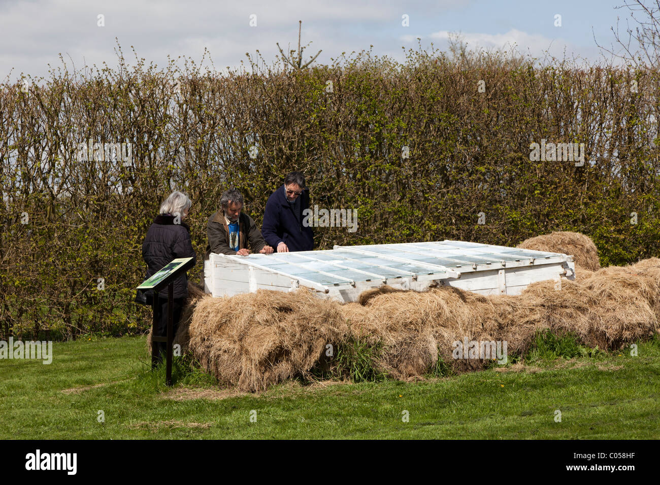 White straw hi-res stock photography and images - Alamy