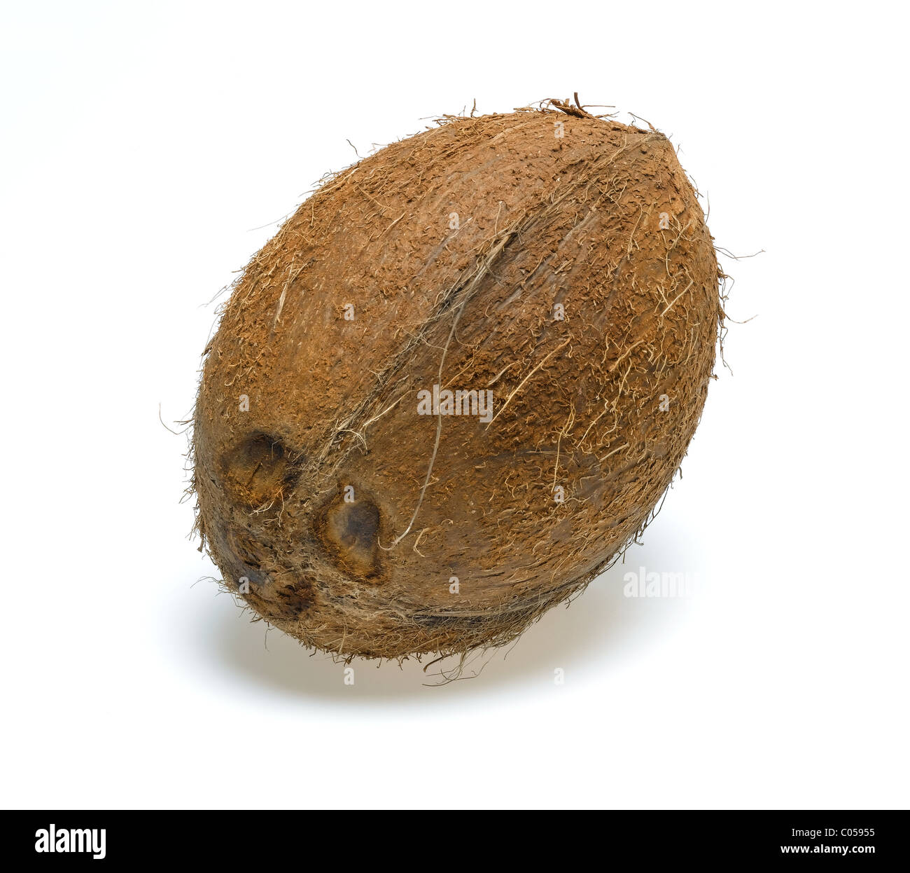coconut Stock Photo