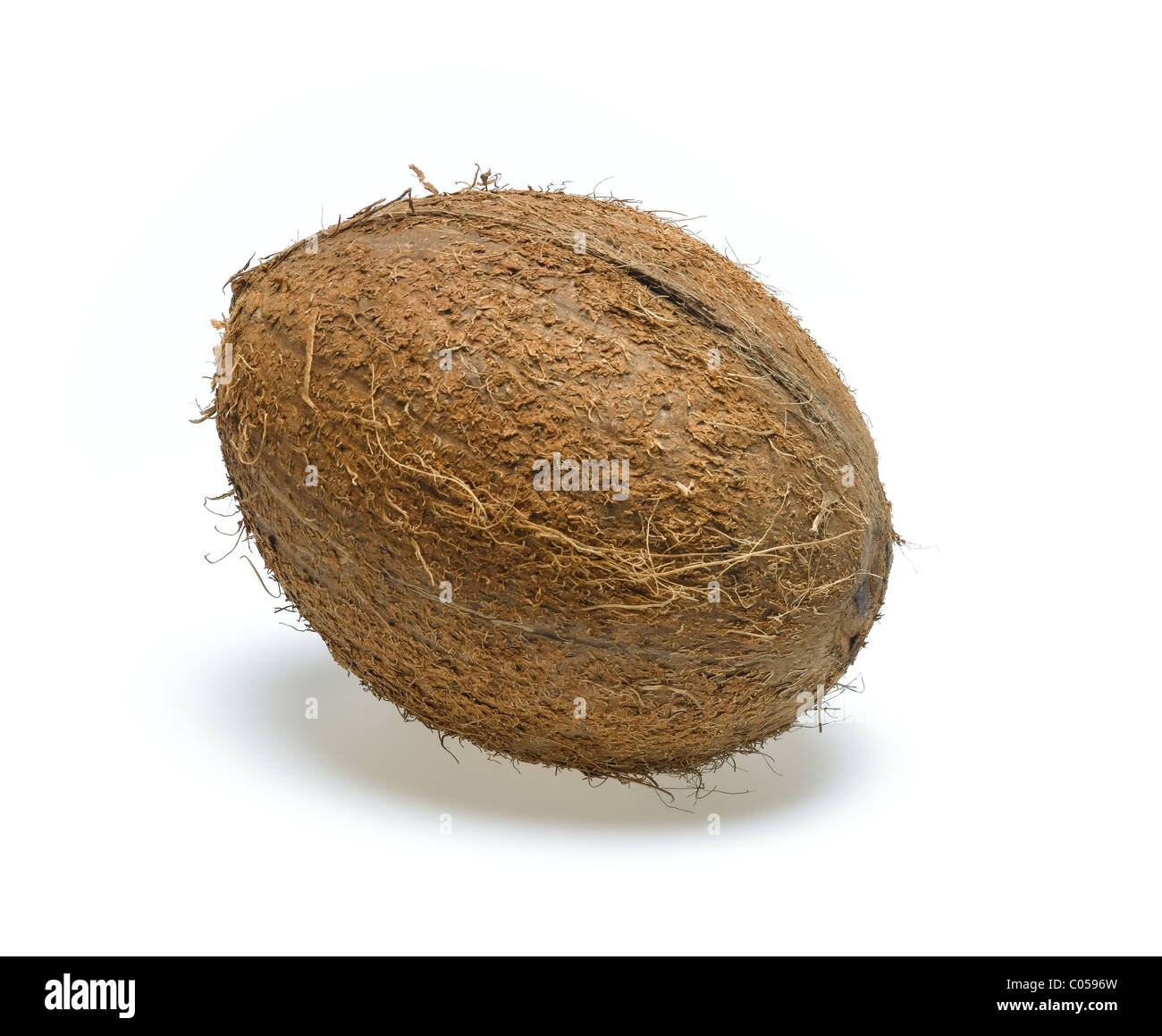 coconut Stock Photo