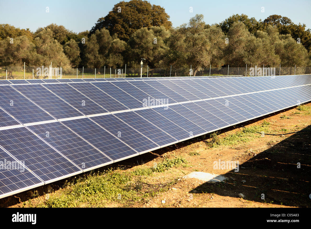 An array of solar panels on the island of Crete, Greece, with an olive grove in the background Stock Photo