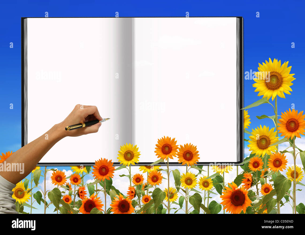 Notebook with sunflowers and the sky bright Stock Photo