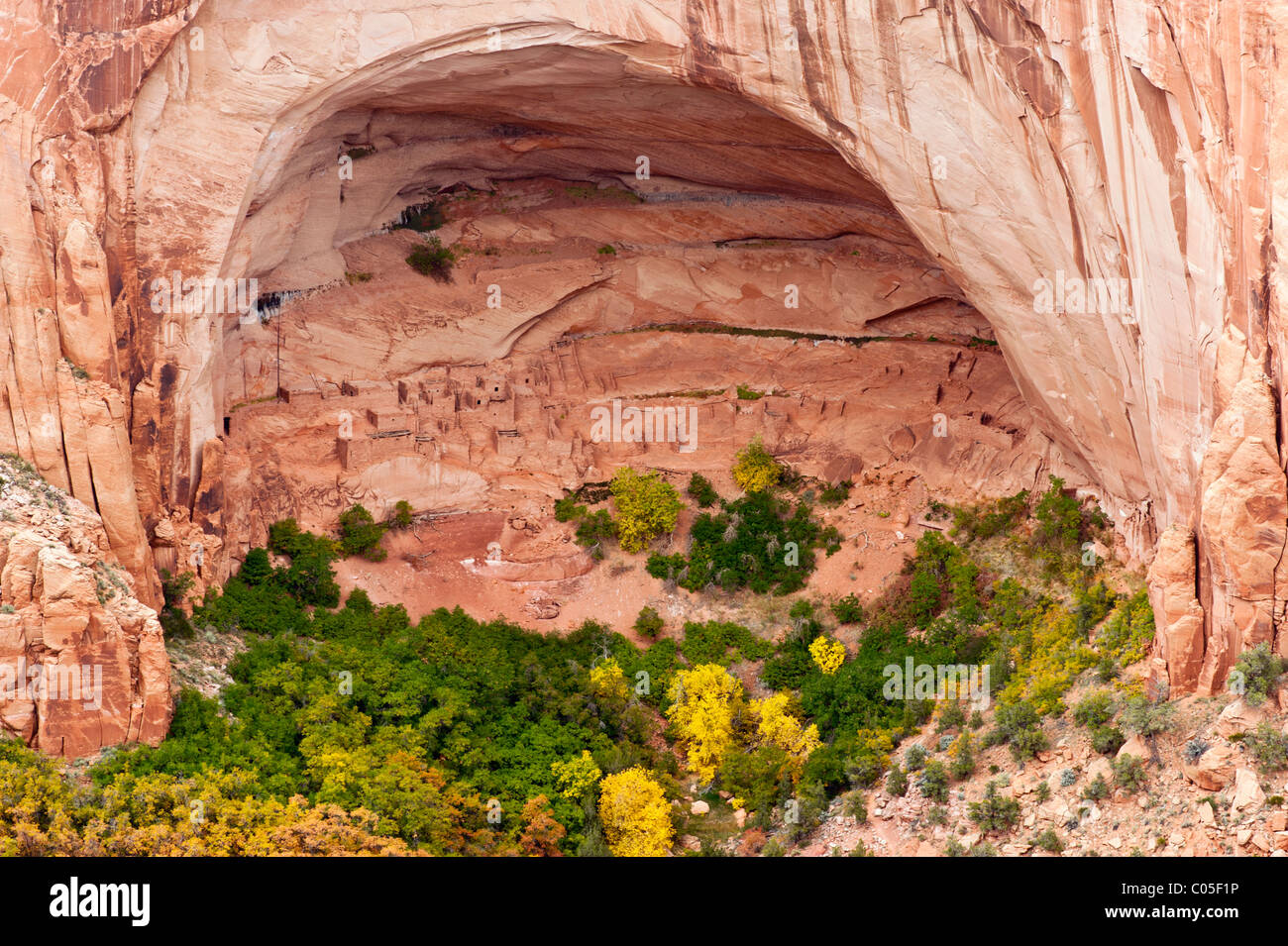 Navajo National Monument