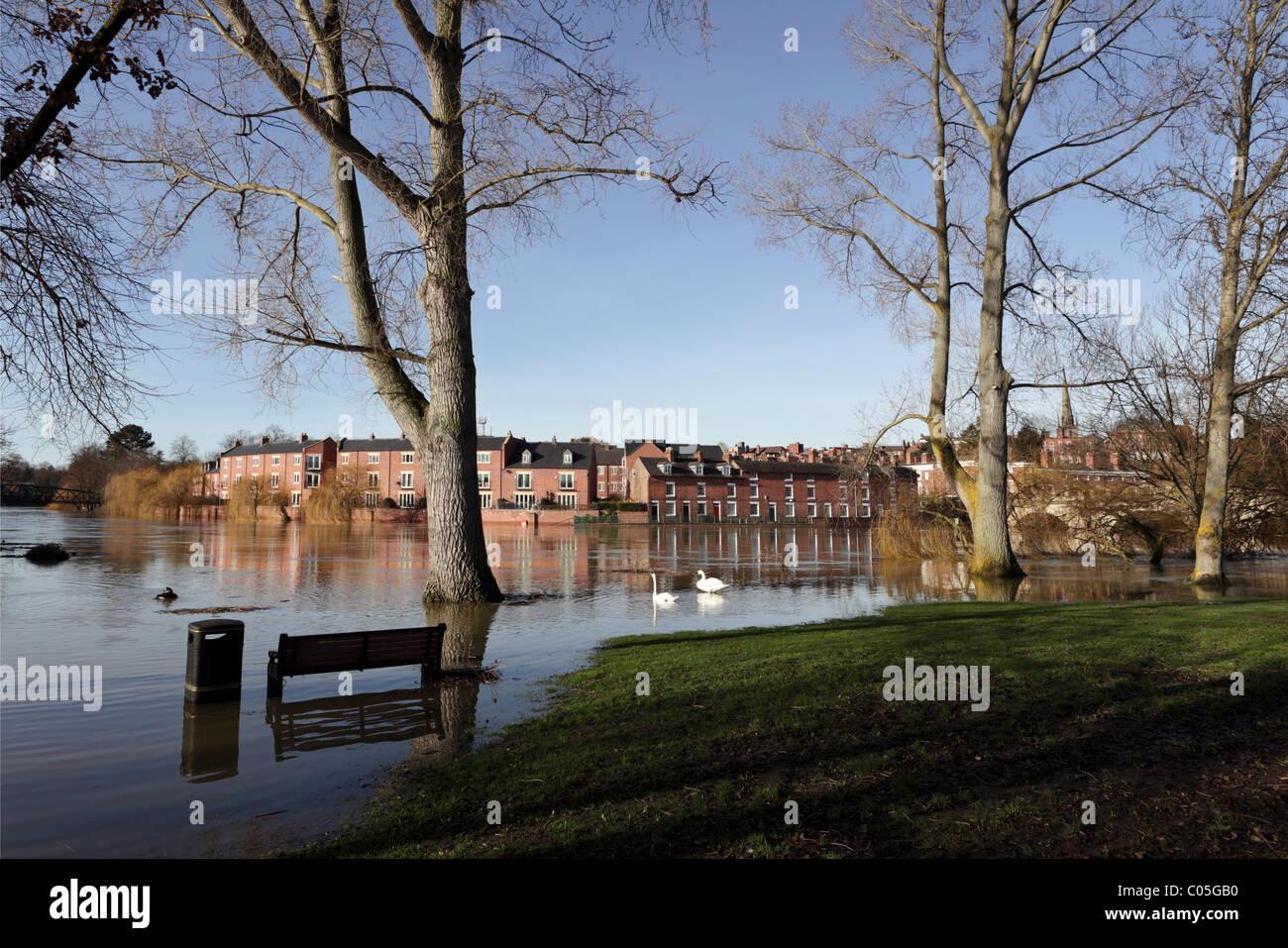 The River Severn in Shrewsbury during annual flooding during the winter months. Stock Photo