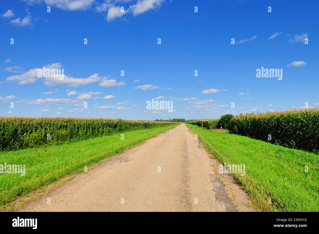 Corn fields illinois hires stock photography and images Alamy