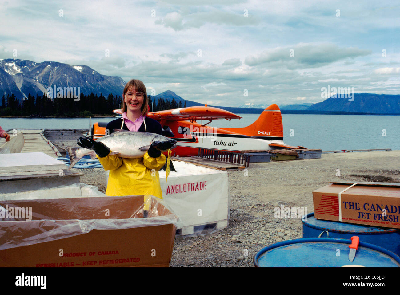 Atlin, Northern BC, British Columbia, Canada Woman packing Fish for