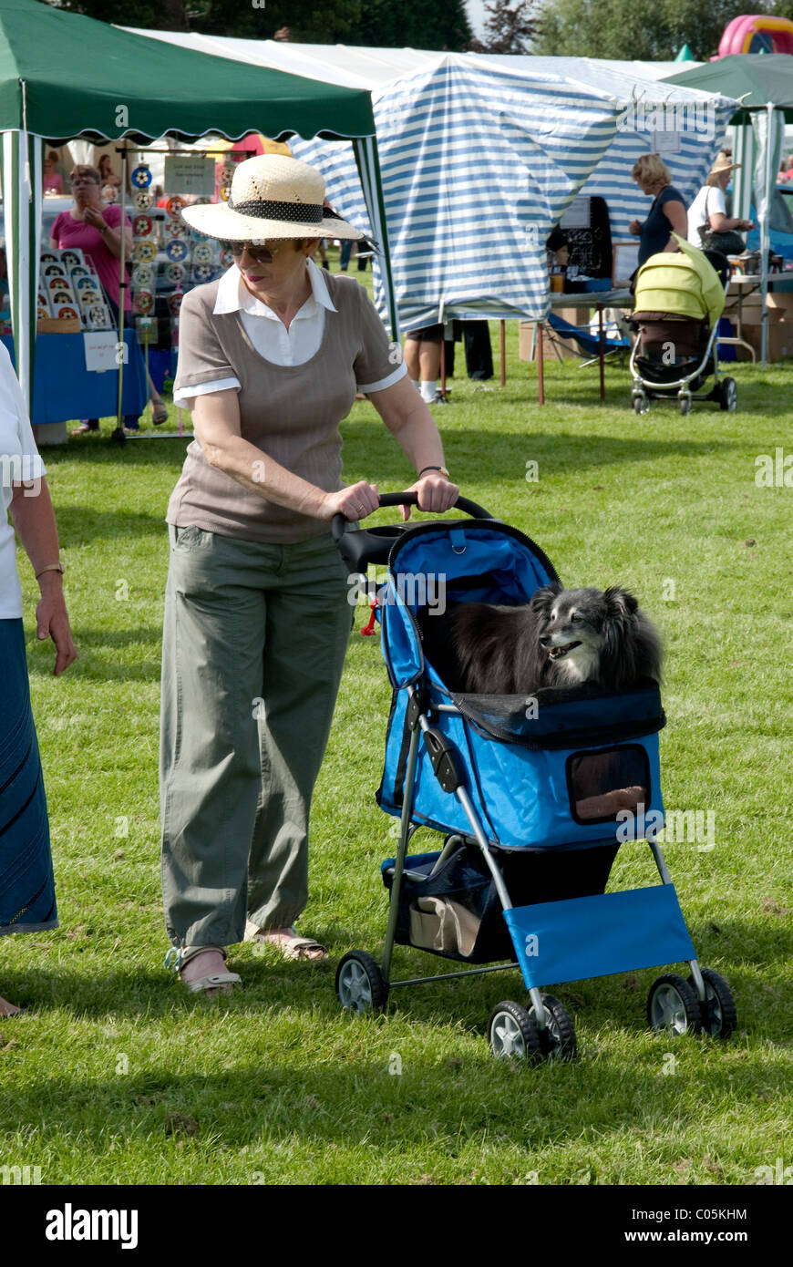 dog pushing stroller