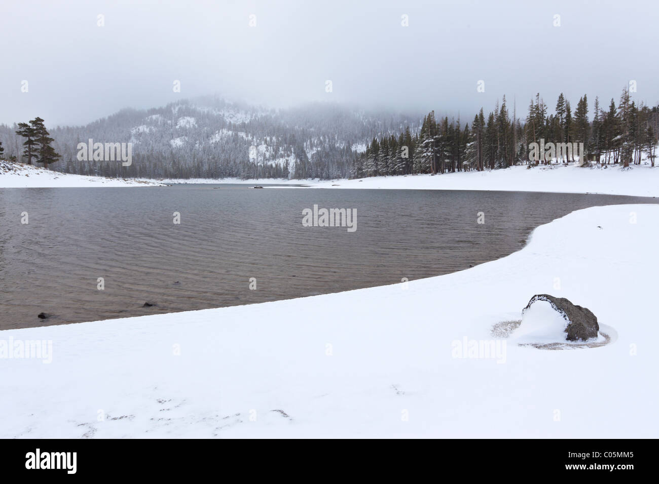 Horseshoe Lake, California High Resolution Stock Photography and Images