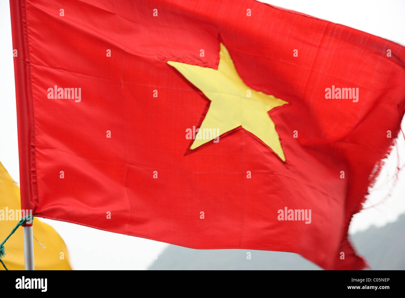 Flag of Vietnam Stock Photo