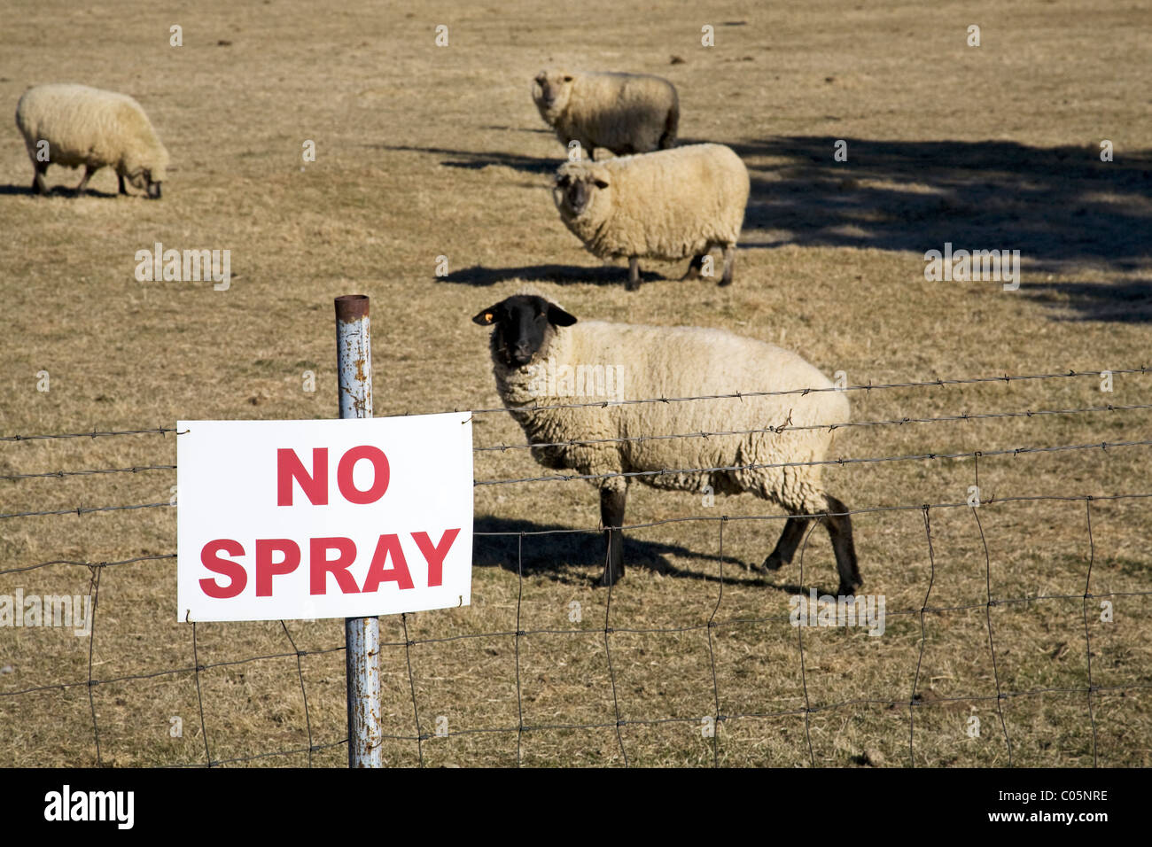 No Insecticide High Resolution Stock Photography and Images - Alamy