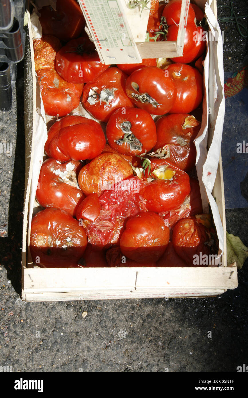 https://c8.alamy.com/comp/C05NTF/rotten-tomatoes-in-a-crate-outside-market-C05NTF.jpg