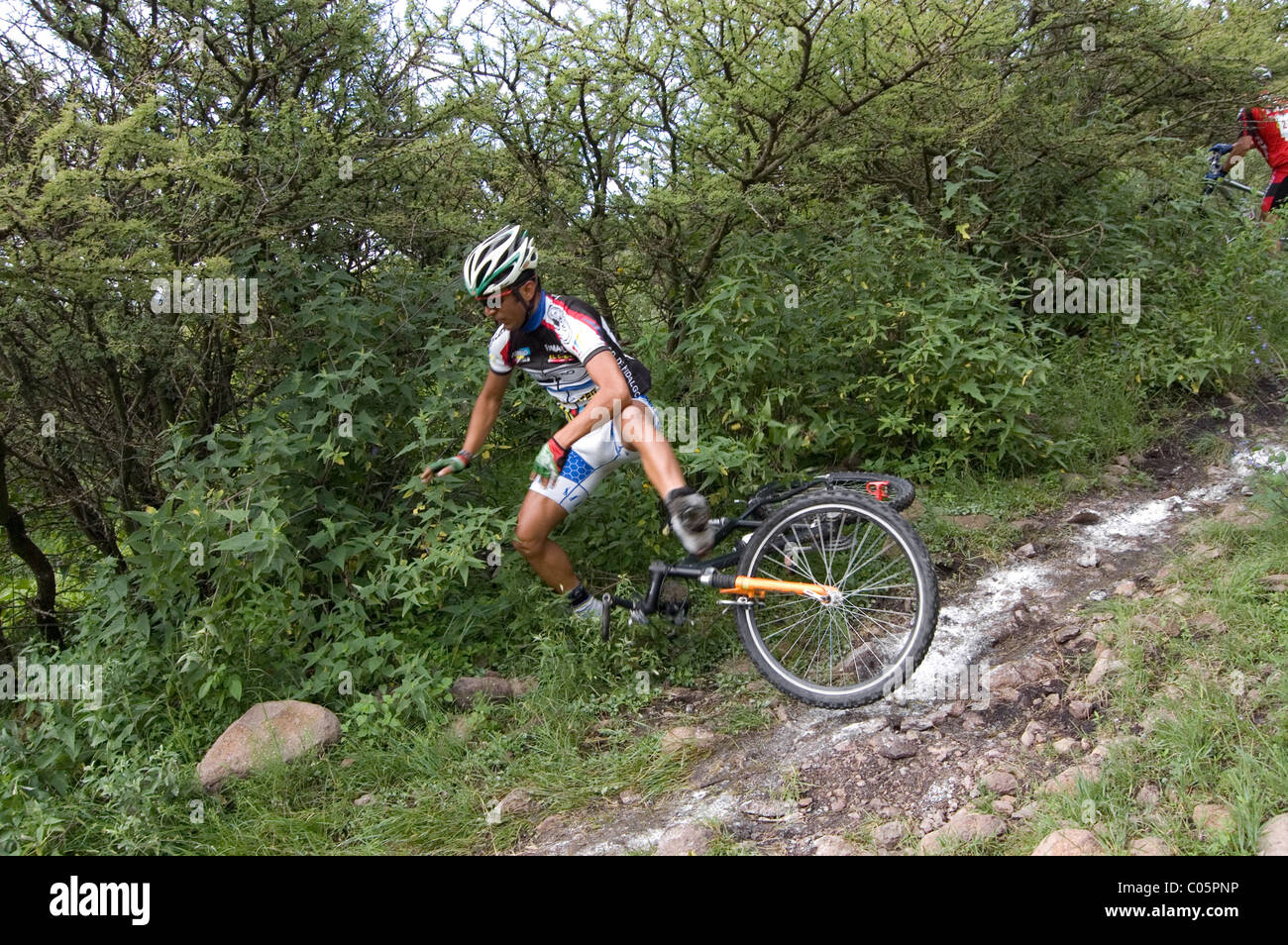 Mtb falls best sale