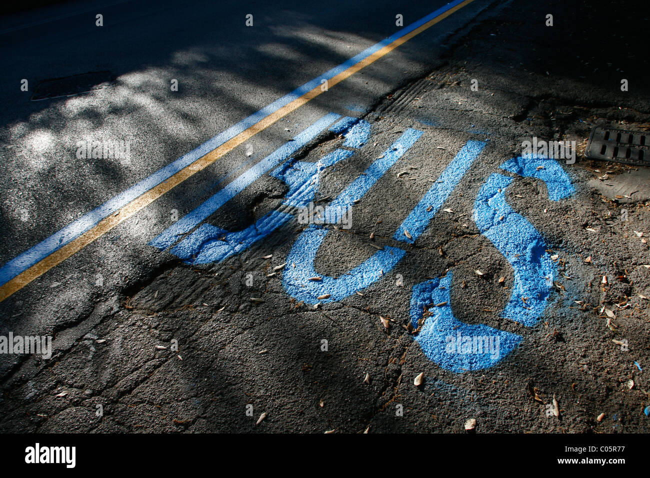 bus word on street road surface Stock Photo
