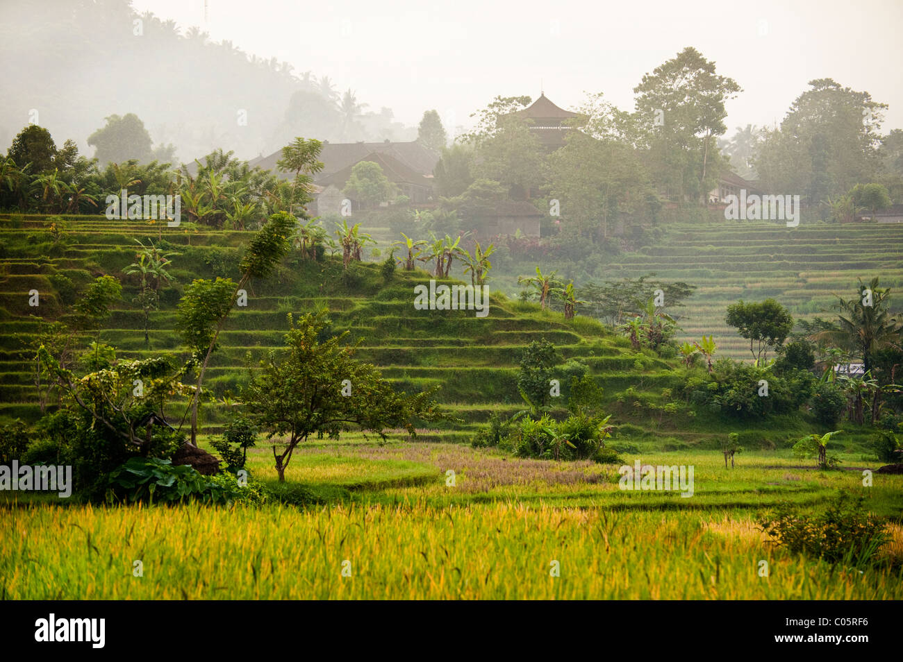 The Sideman Valley In East Bali Indonesia Has Some Of The Most The Sideman Valley In East Bali Indonesia Has Some Of The Most