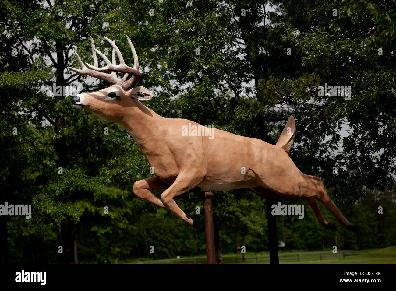 Statue of whitetail deer hires stock photography and images Alamy