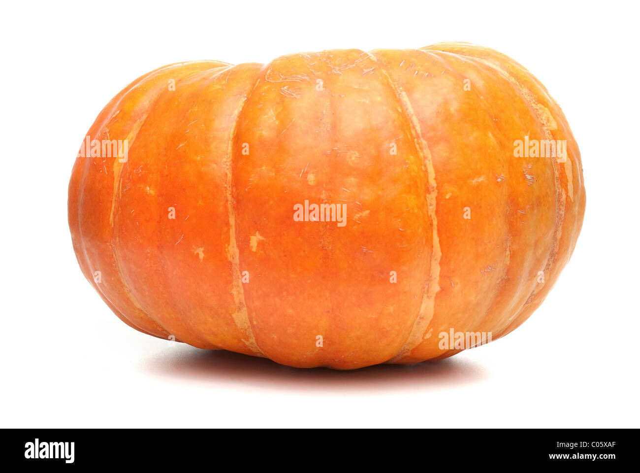 Orange pumpkin isolated on white background Stock Photo - Alamy