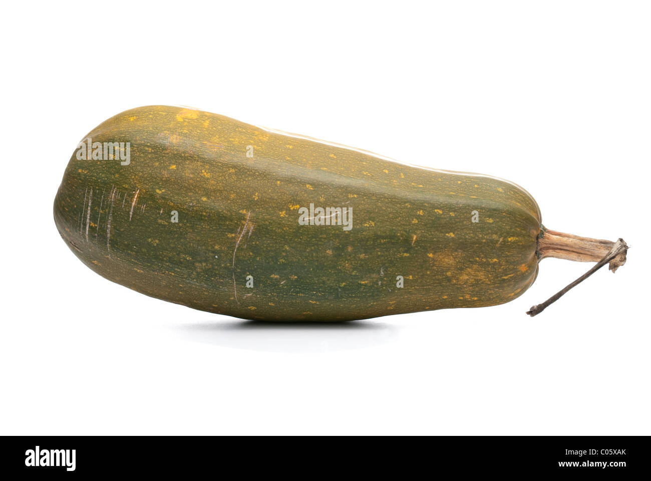 Single fresh pumpkin isolated on white background Stock Photo - Alamy