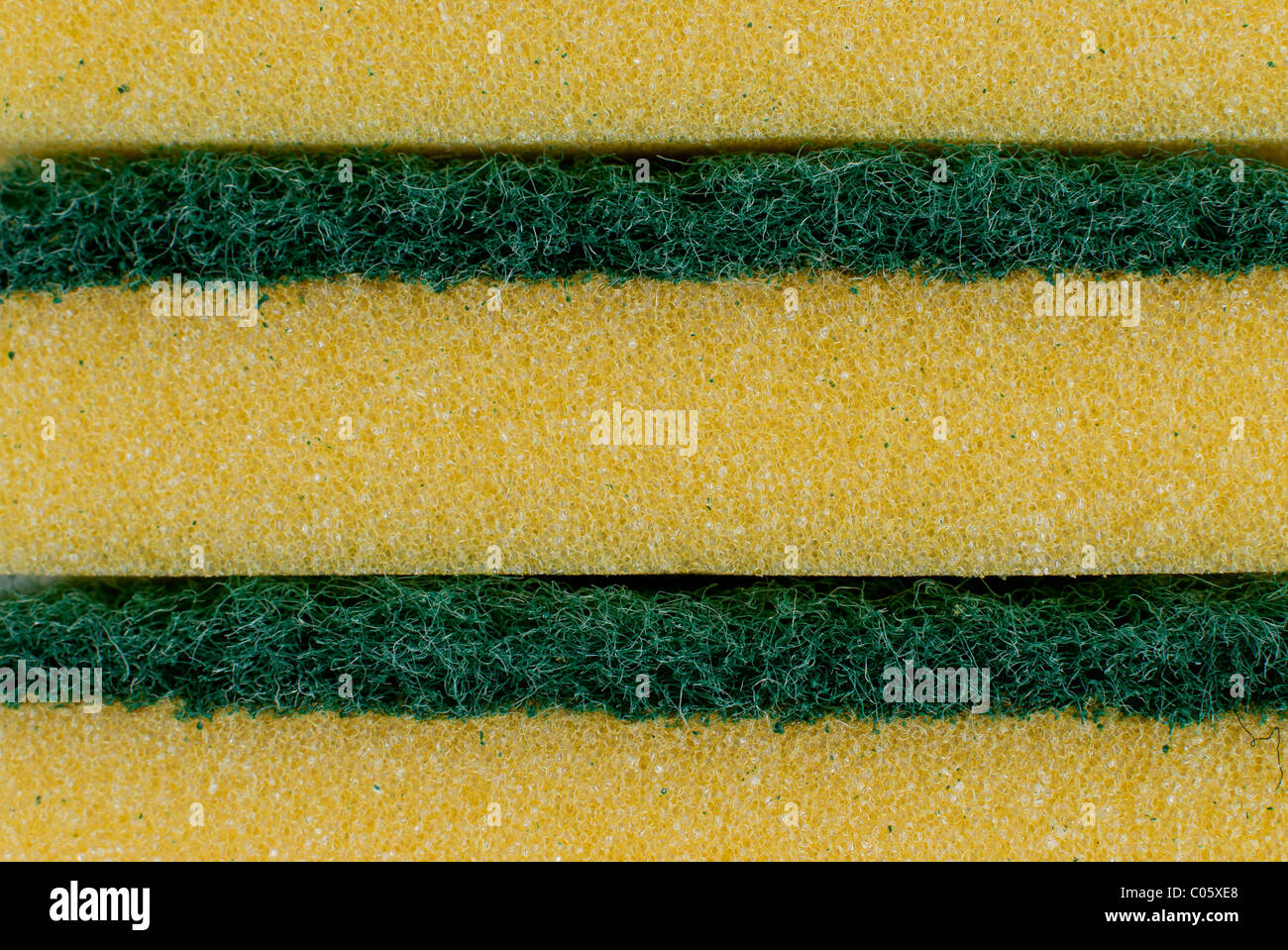 Green and yellow Sponge texture detail. Stock Photo