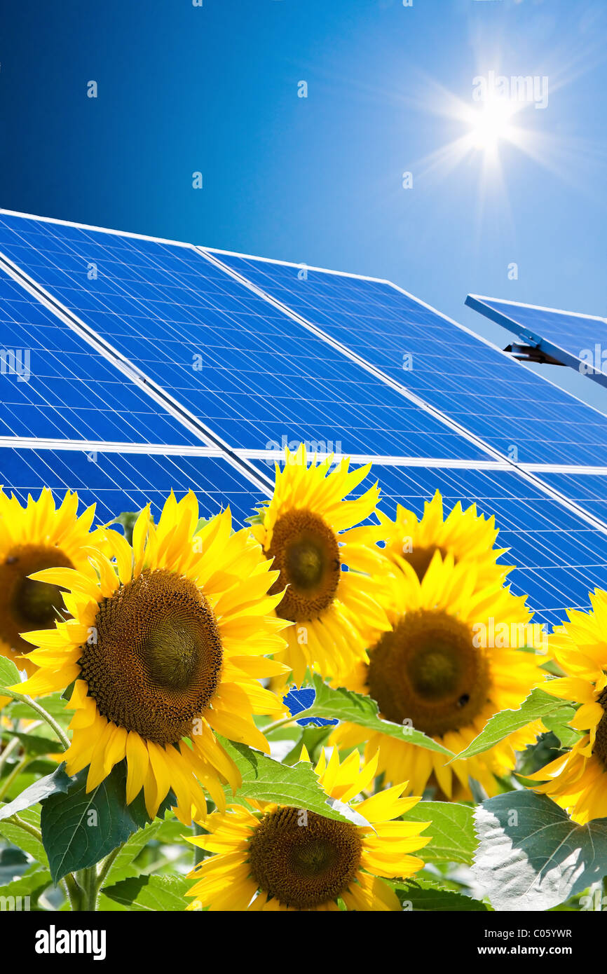 Alternative solar energy. Solar energy power plant Stock Photo Alamy