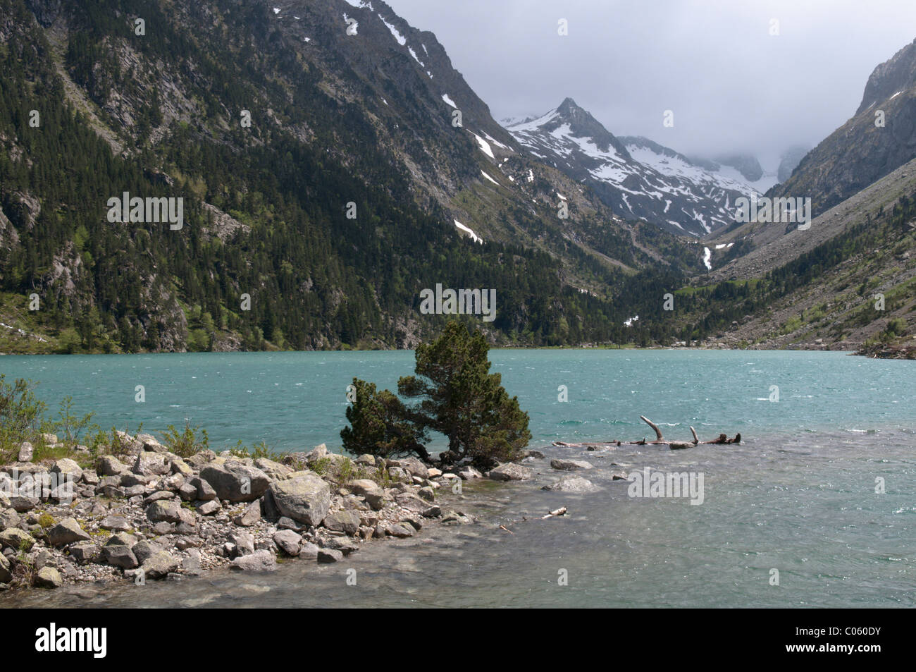 Gaube Lake above Pont d'Espagne. Near Cauterets. Park National des Pyrenees, The Pyrenees, France. June. Stock Photo