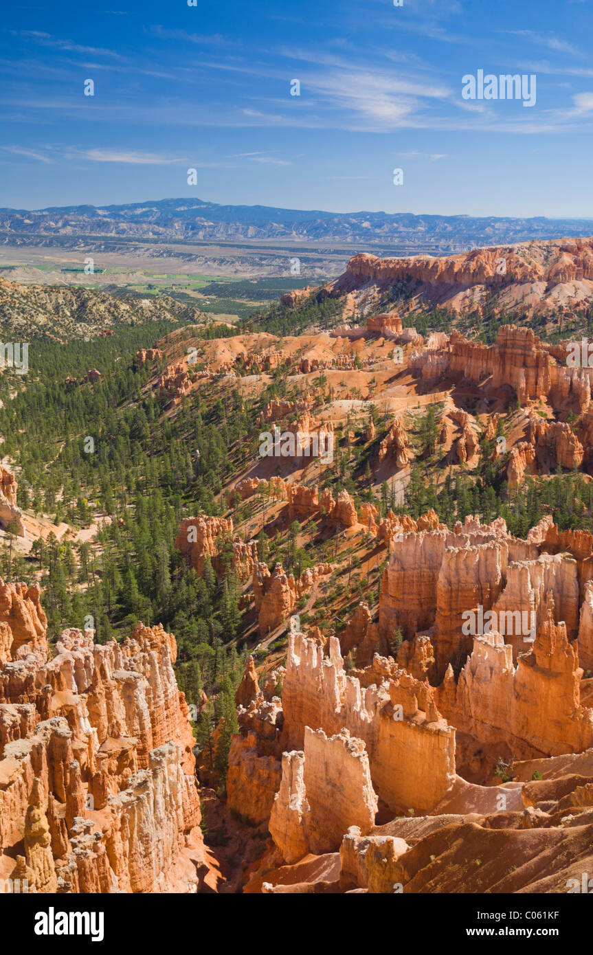 Pine tree filled Bryce Canyon and Bryce Amphitheater, with lots of eroding hoodoos, Bryce Canyon National Park, Utah, USA Stock Photo