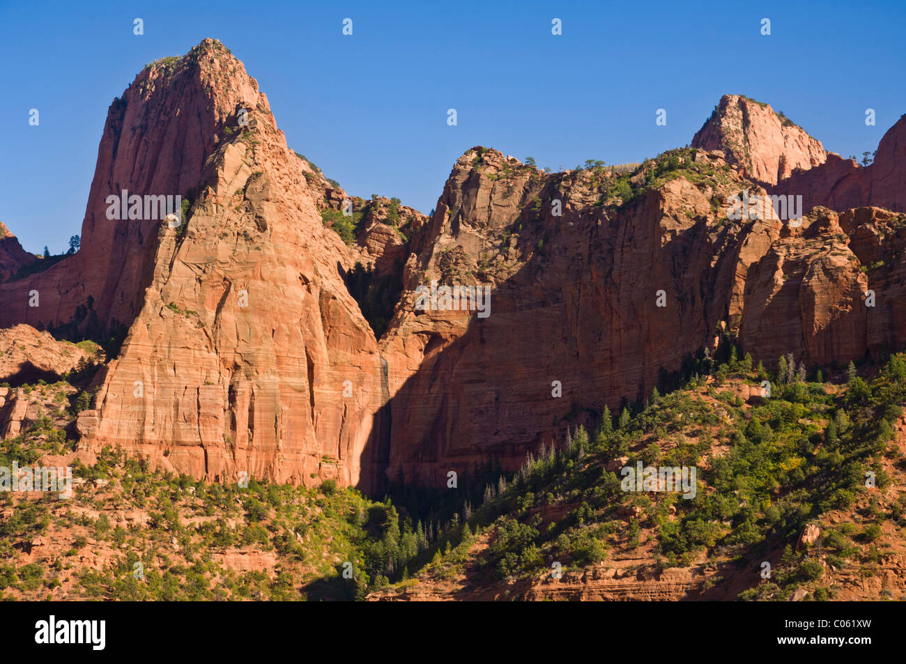 The Kolob canyons, Zion National Park, Colorado Plateau, Utah, USA