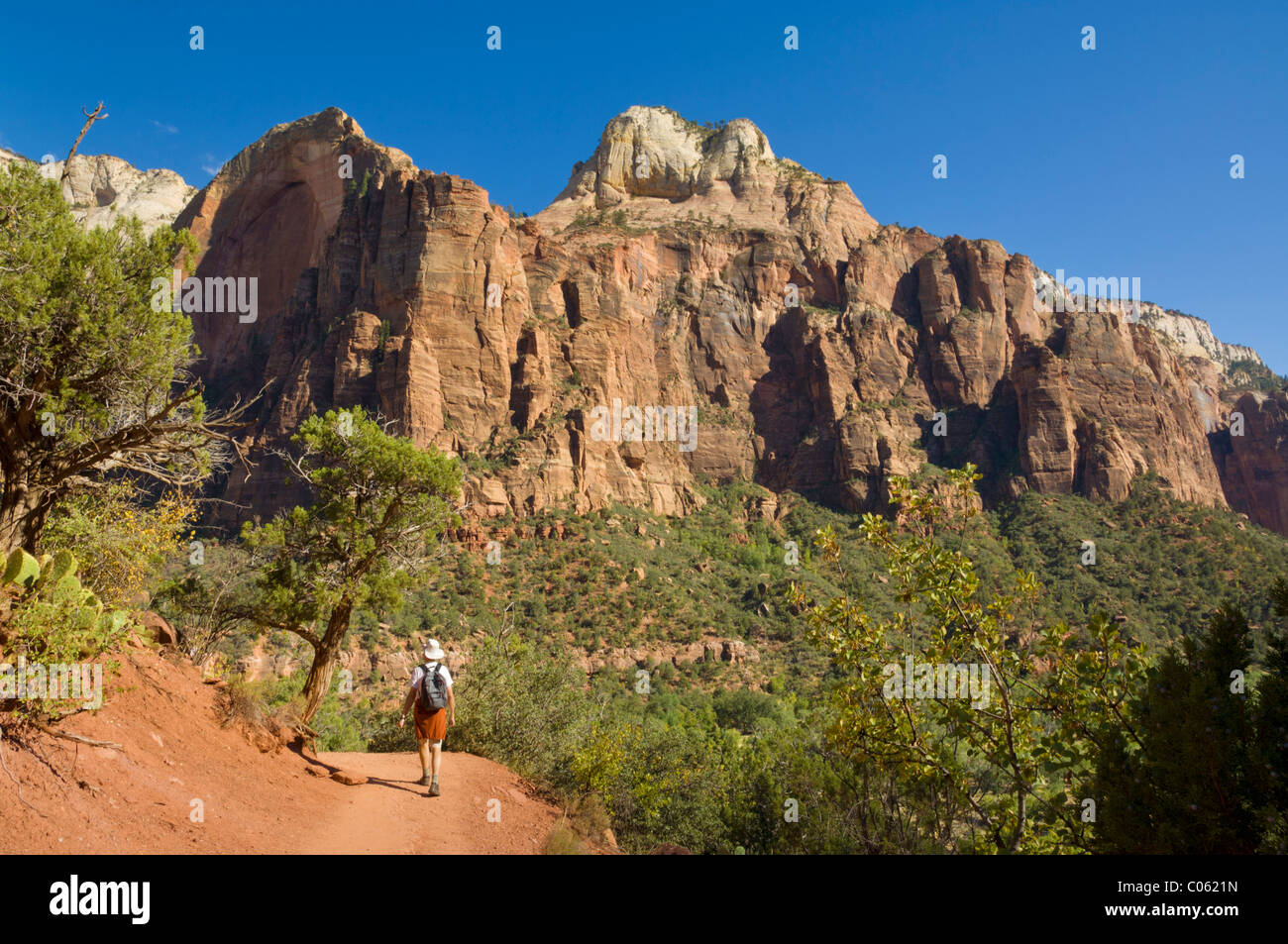 Hiker (model released) on the Emerald Pools trail, Zion National Park, Utah, USA Stock Photo