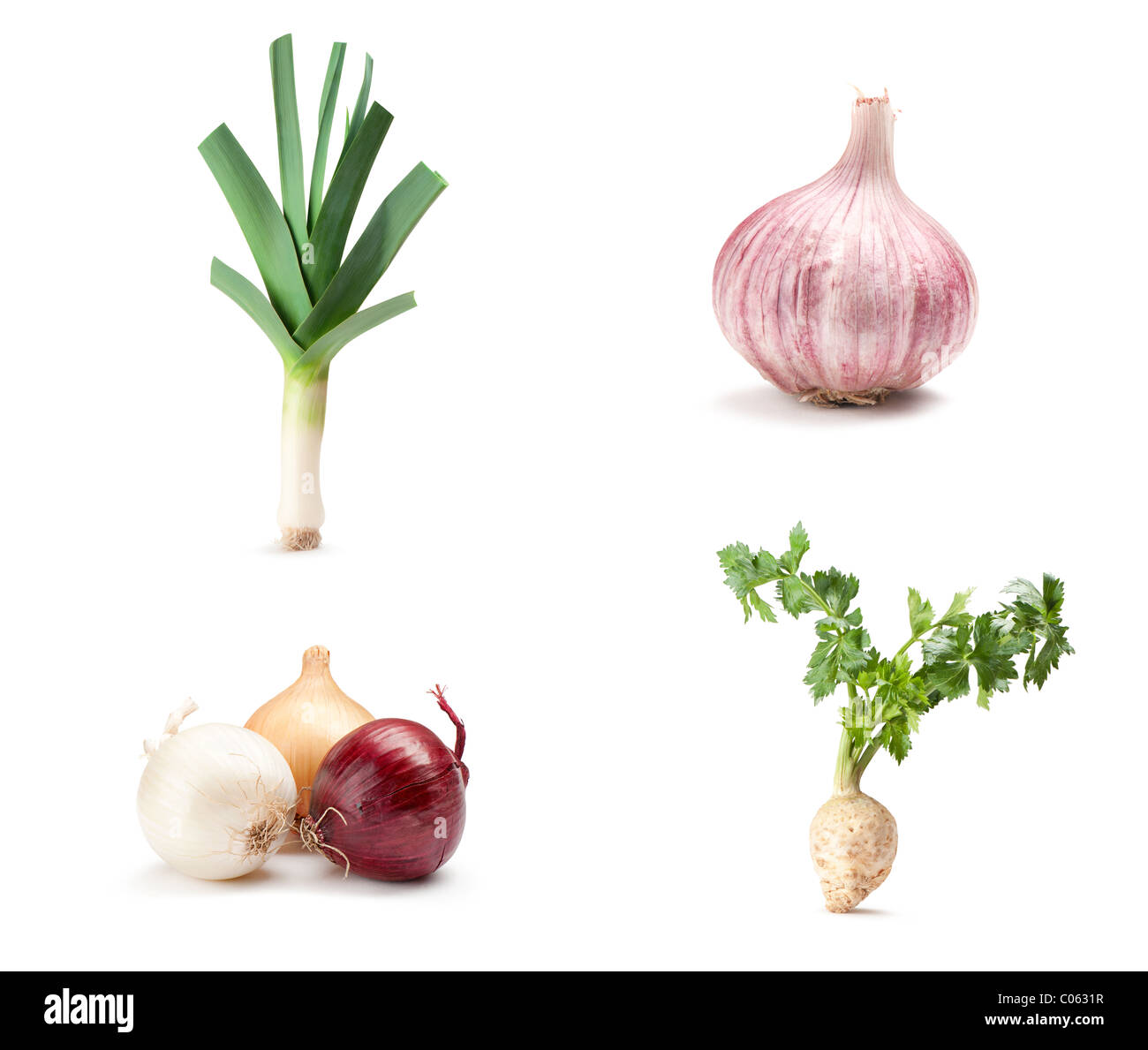 vegetable on white background; leeks, garlic, onion, celery Stock Photo