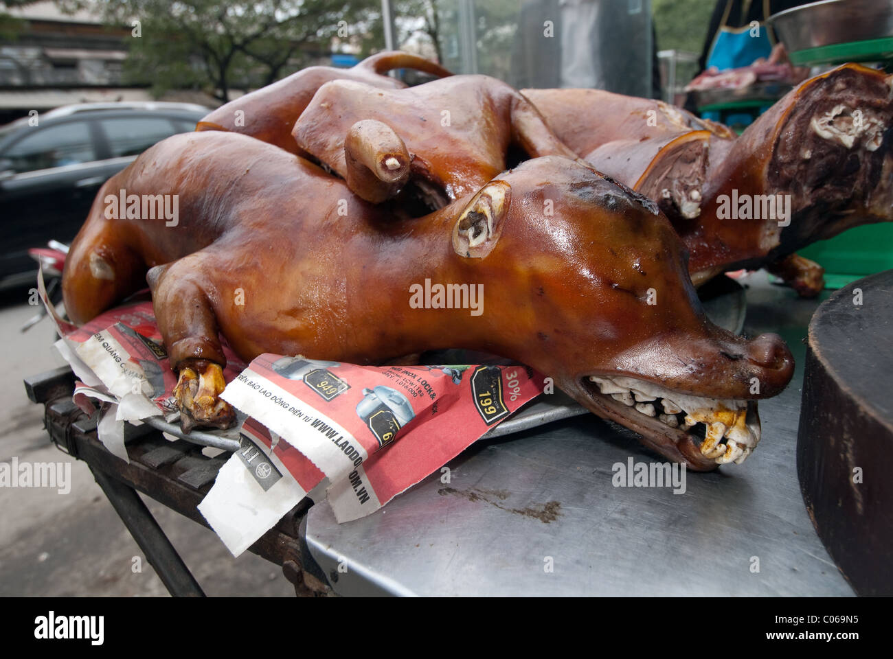 Dog restaurant. Hanoi. Vietnam Stock Photo Alamy