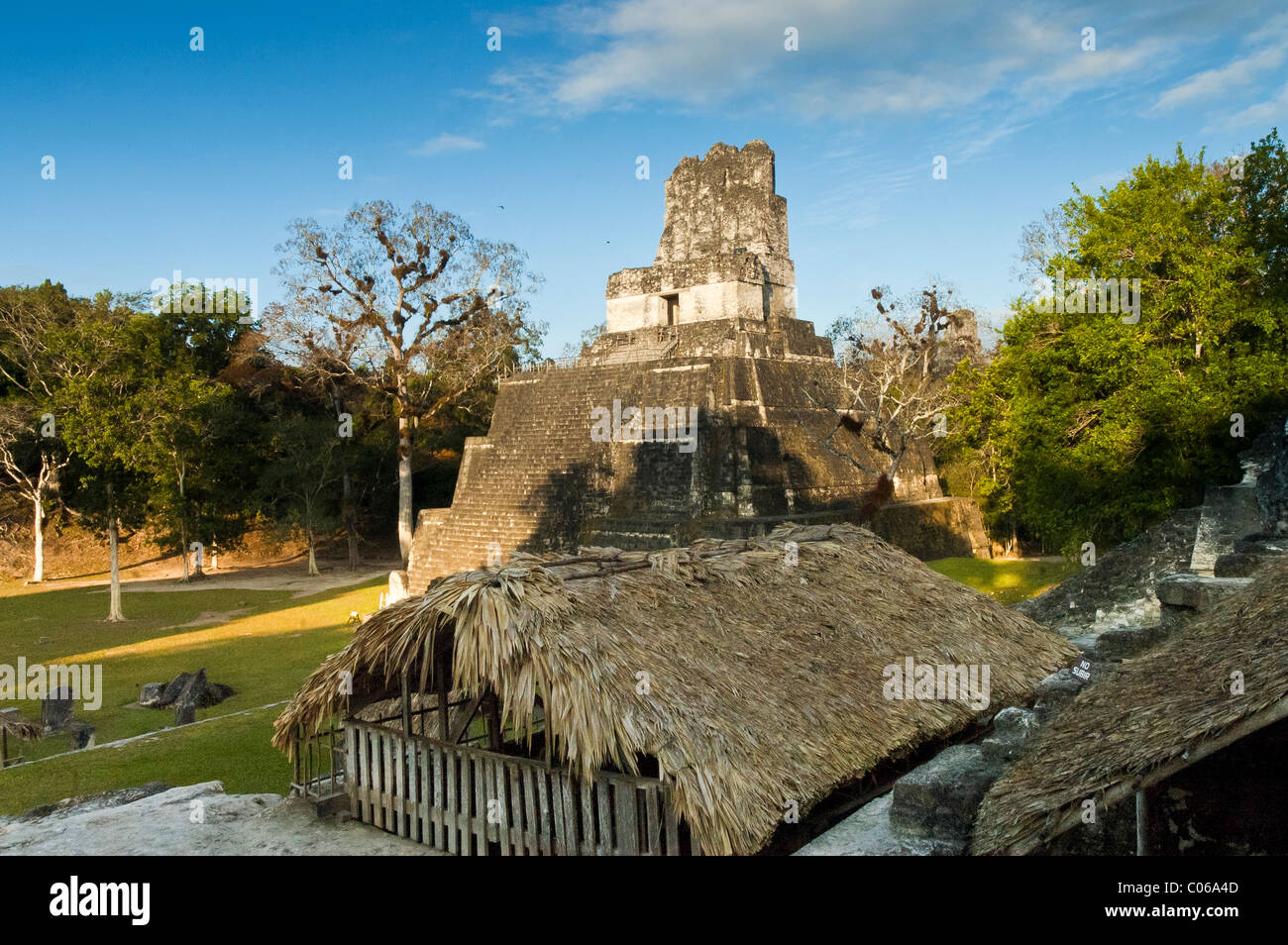 Tikal, Peten, Guatemala, Central America Stock Photo