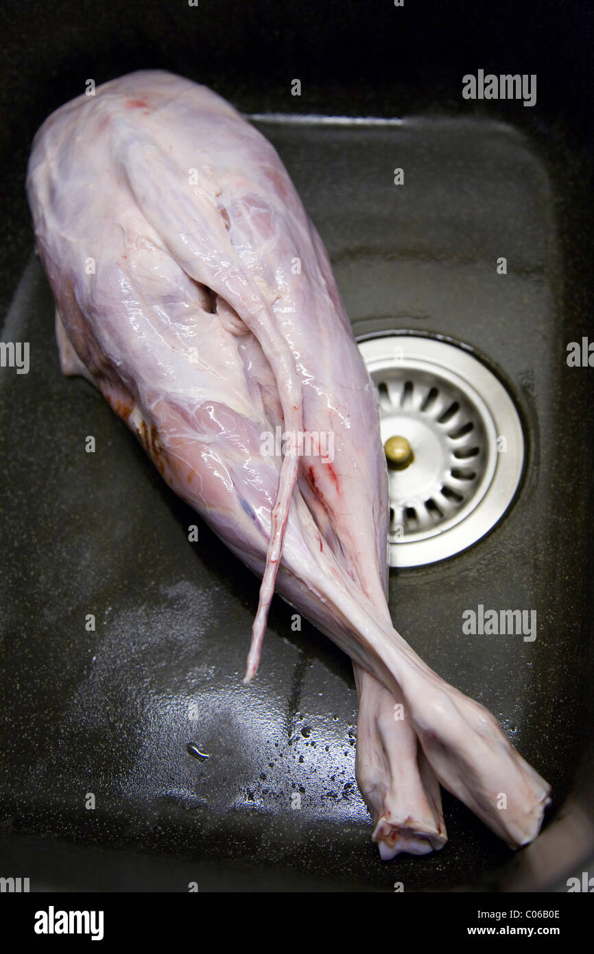 Raw suckling lamb joints with hip during preparation Stock Photo