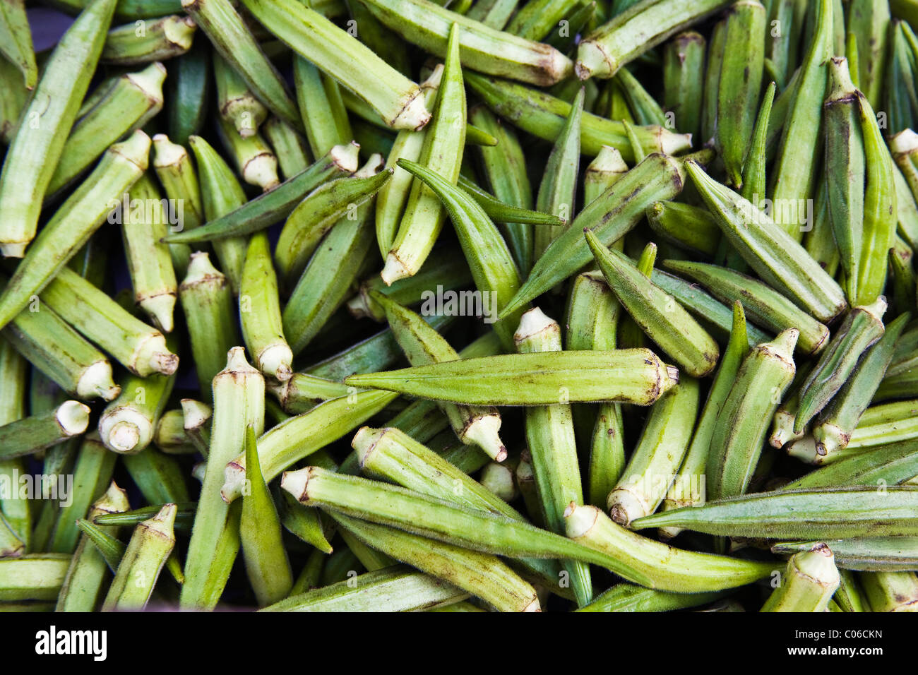 Okra (Abelmoschus esculentus) vegetable Stock Photo