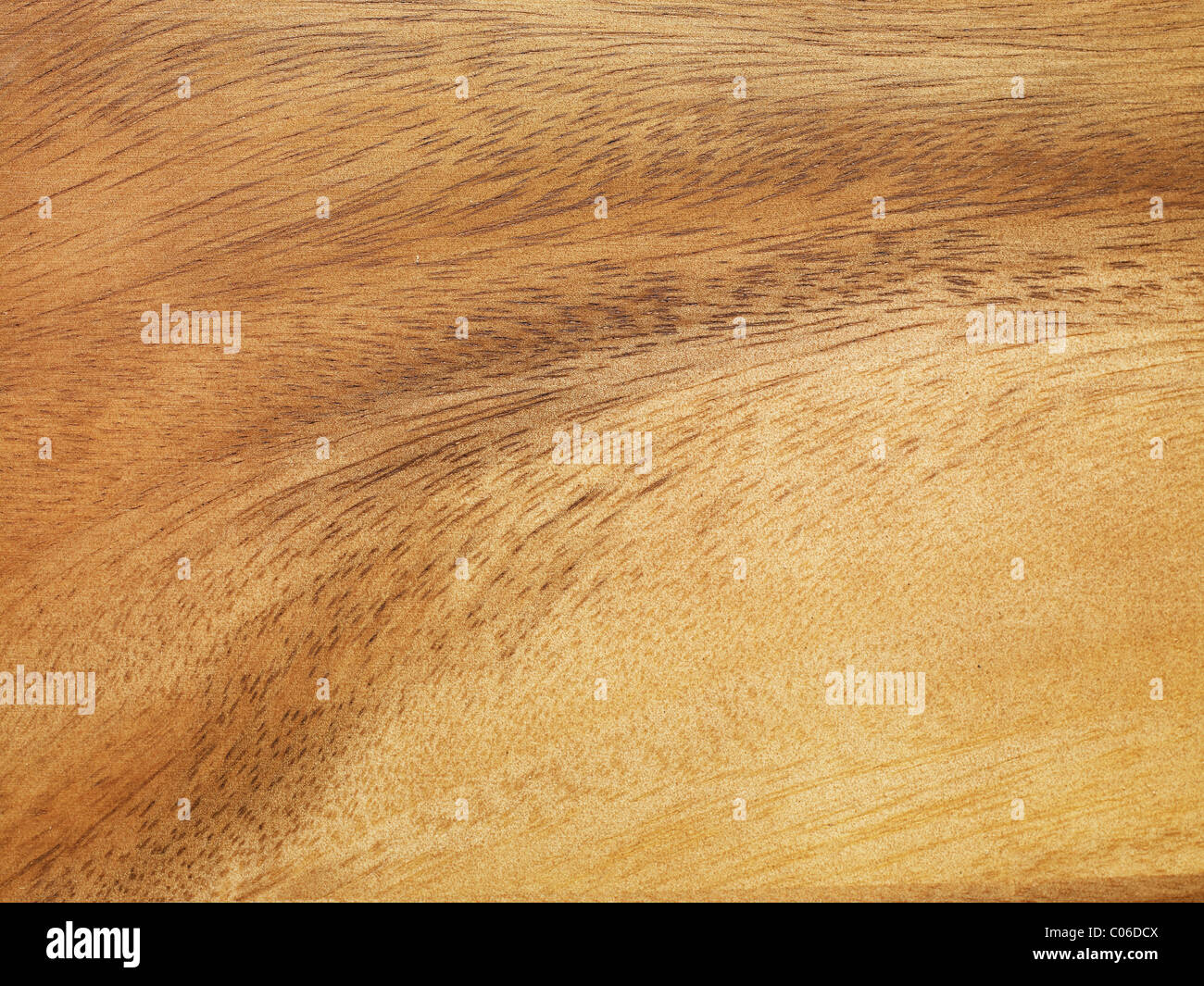 wood grain close up Stock Photo - Alamy