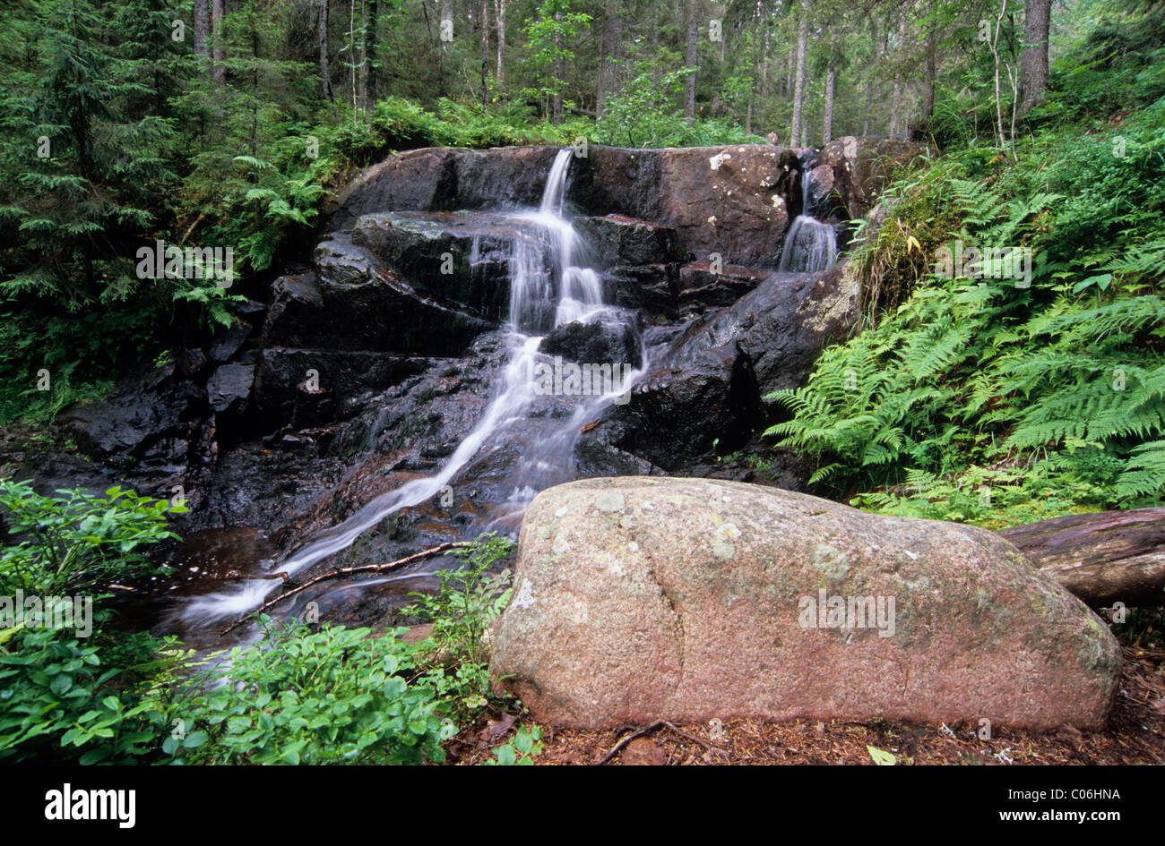 Skuleskogen National Park, Sweden, Europe Stock Photo
