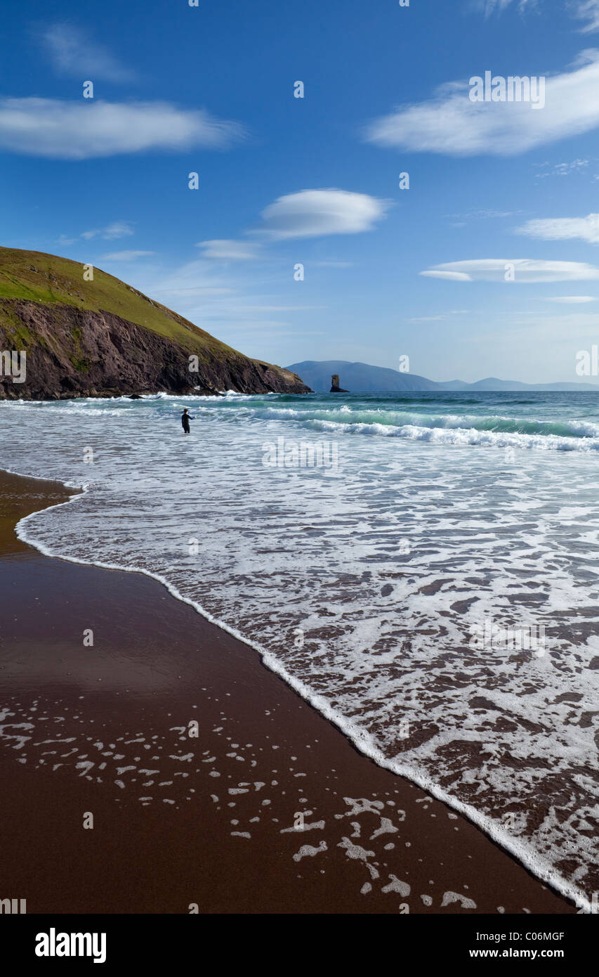 Surfers on Dun Cin Tire Beach, Near Dingle Town, Dingle Peninsula, County Kerry, Ireland Stock Photo