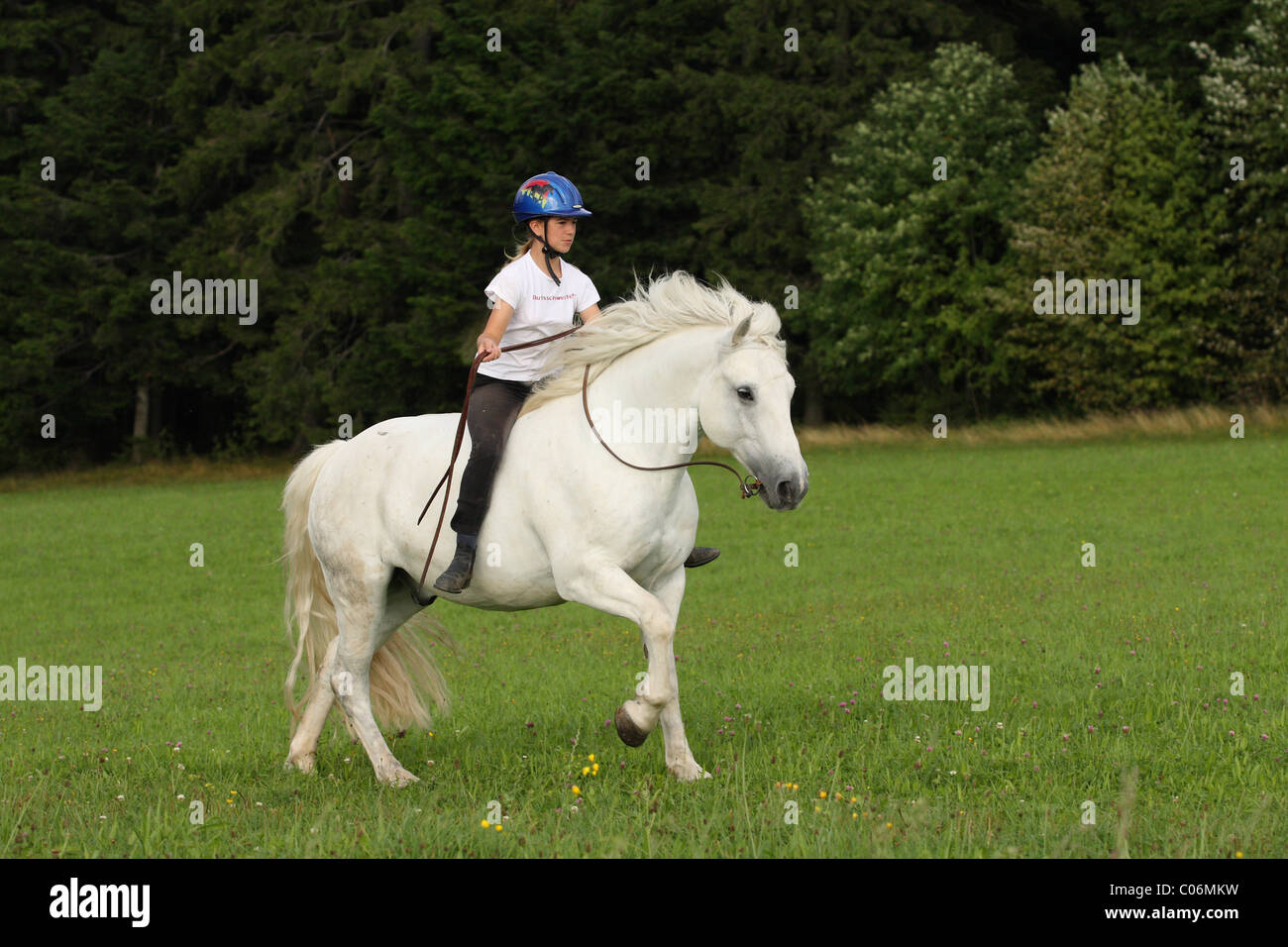 riding without saddle Stock Photo