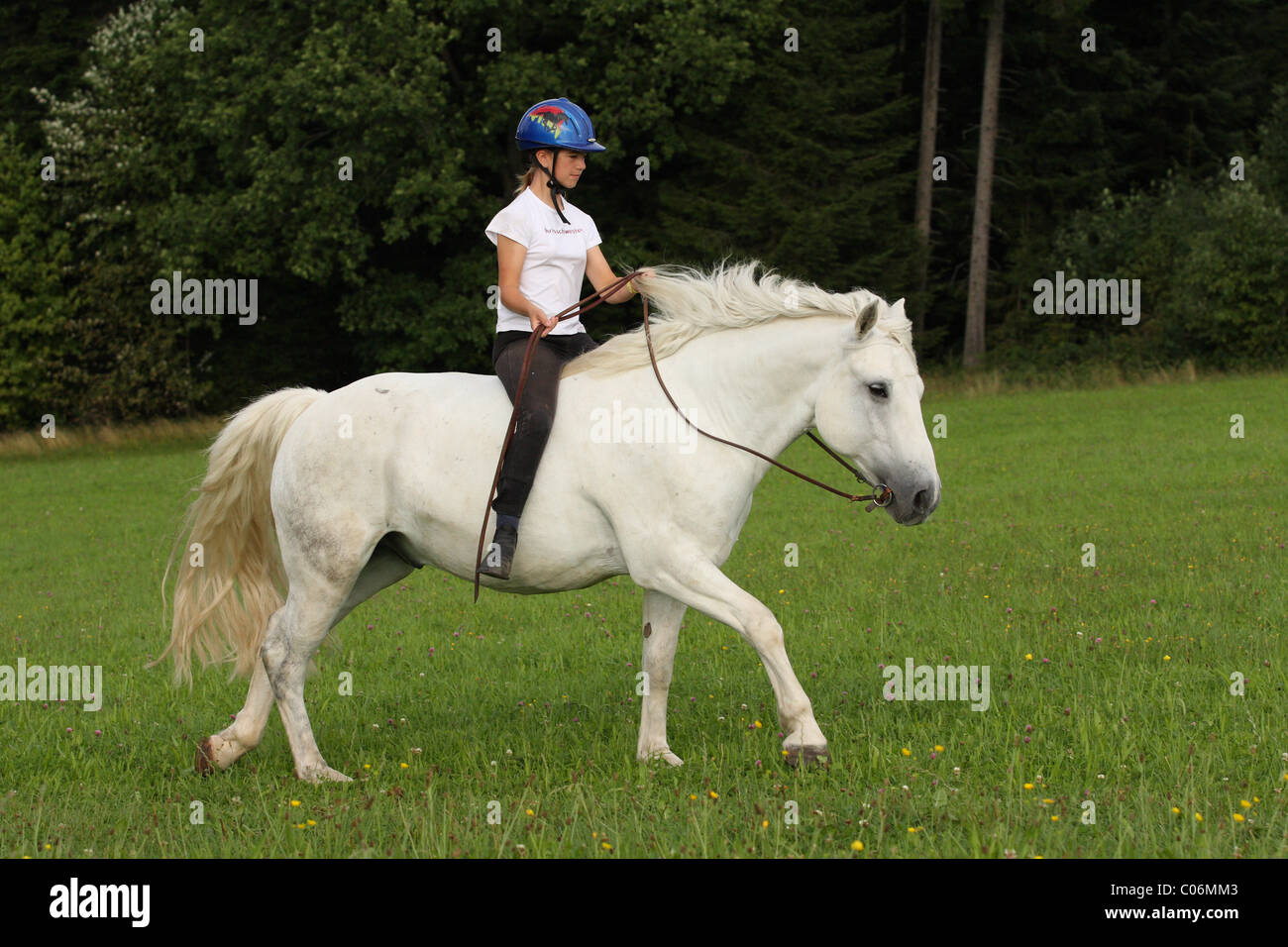 riding without saddle Stock Photo Alamy