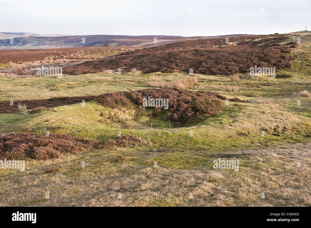 Bell Pit, the remains of the old lead mining industry, Grinton Moor