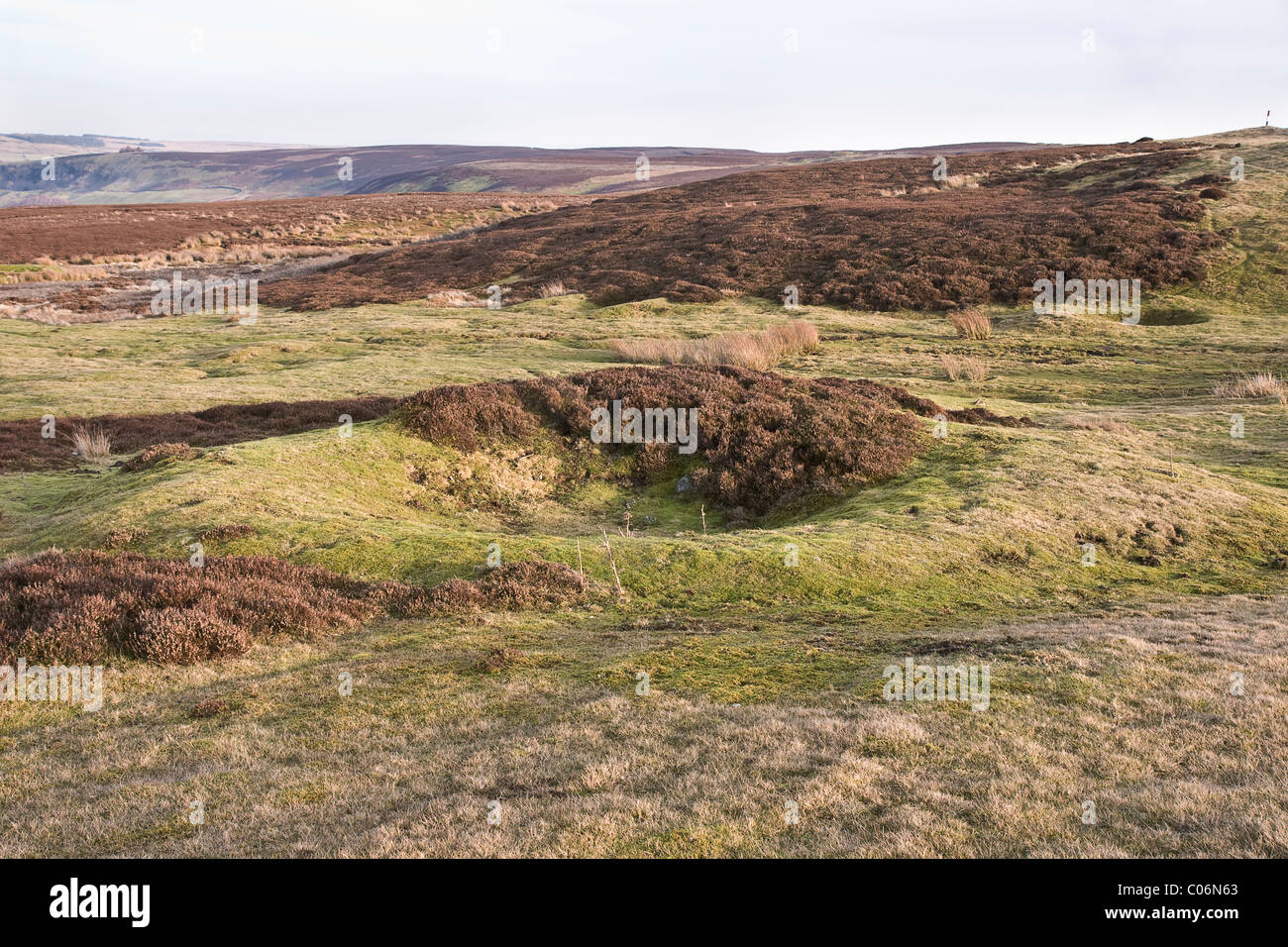Bell Pit, the remains of the old lead mining industry, Grinton Moor, Swaledale, North Yorkshire Stock Photo