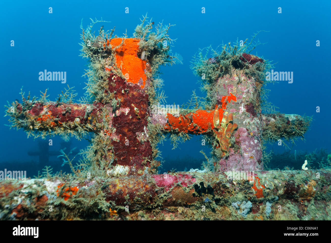 Bitt on deck of a shipwreck, overgrown with sponges, Little Tobago, Speyside, Trinidad and Tobago, Lesser Antilles Stock Photo