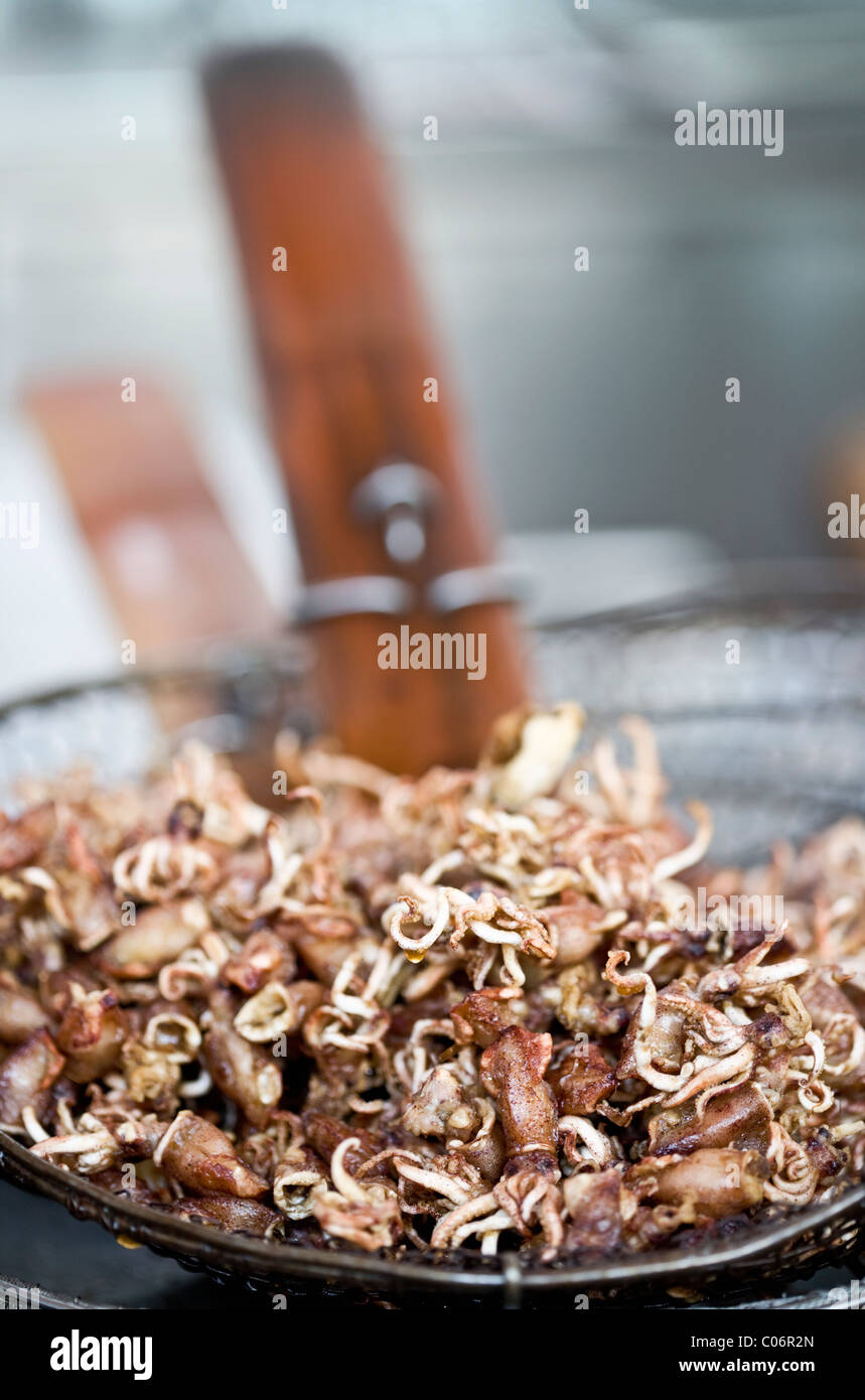 Squid baby hi-res stock photography and images - Alamy