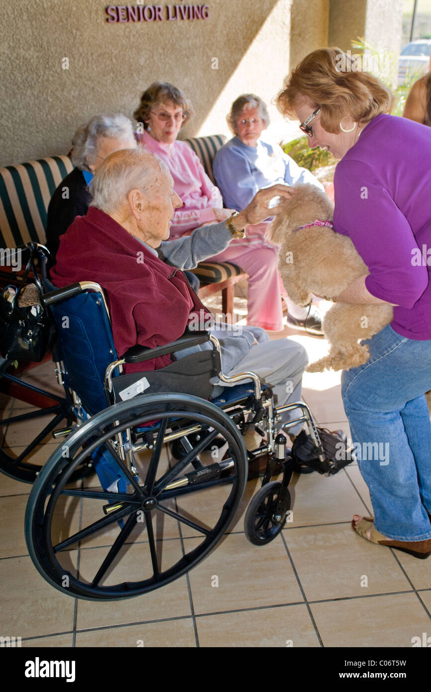 A woman charity volunteer introduces a therapy dog to a patient at a retirement home in Mission Viejo, California. Stock Photo