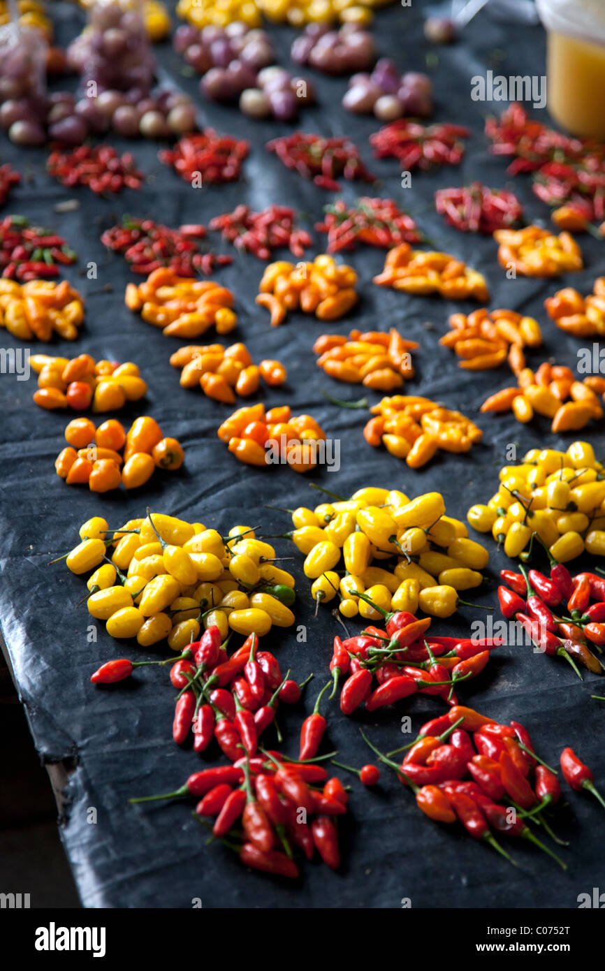 Amazonian chile peppers, such as Aji Charapita, for sale in the Belen MArket of Iquitos Peru. Stock Photo