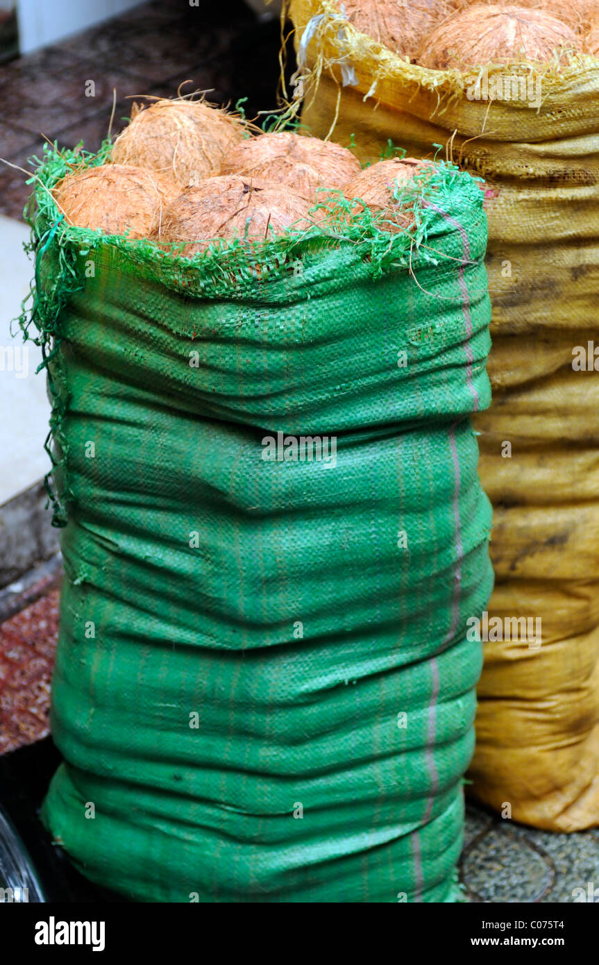 green sack bag of coconuts on sale ho chi minh vietnam food snack Stock