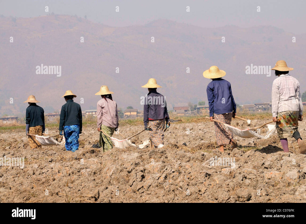 Female Field Workers Loaded Clods Of Earth On Basic Handbarrows With Stock Photo Alamy