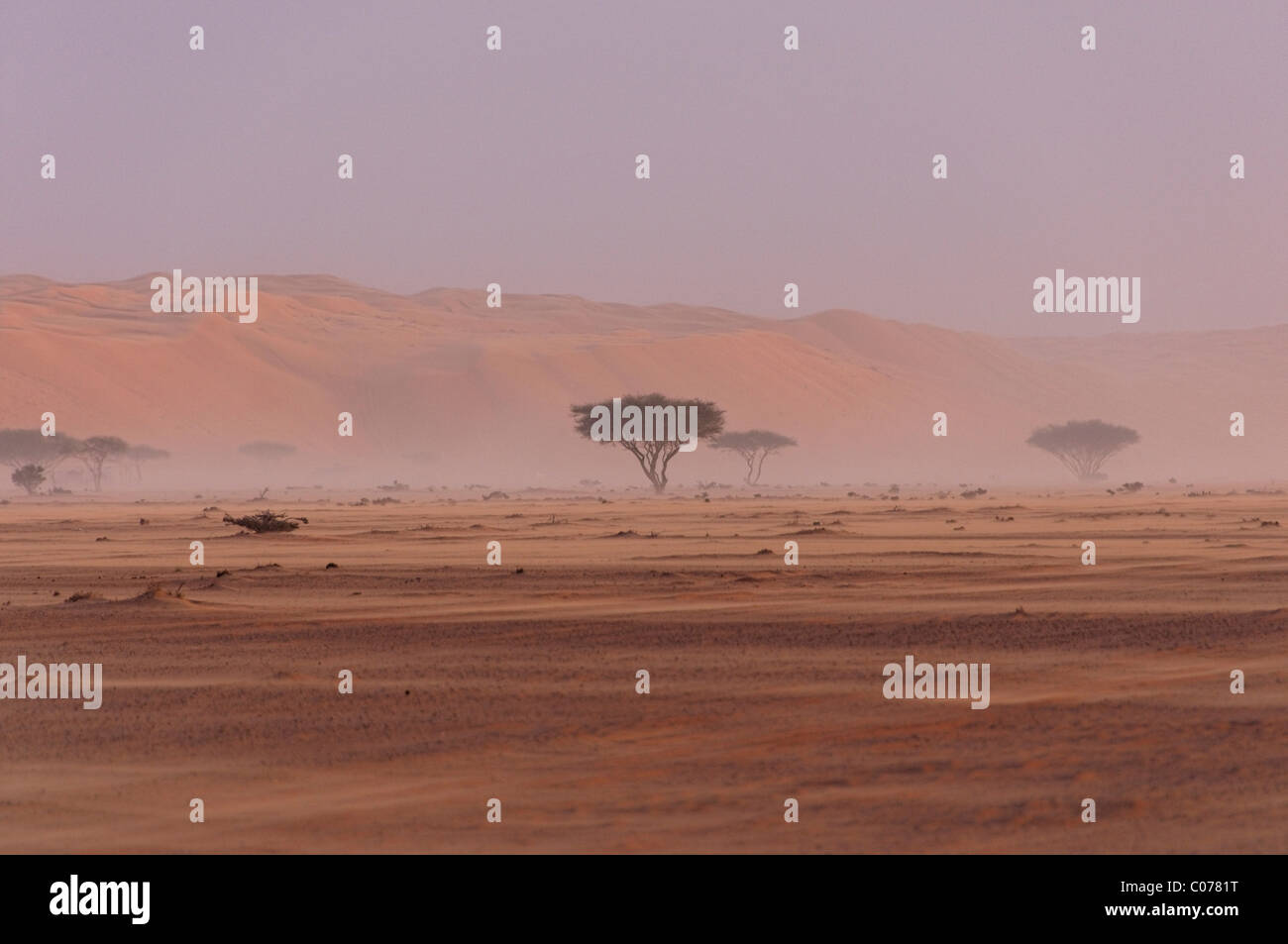 Moderate sandstorm in the desert, Wahiba Sands, Oman, Middle East Stock Photo