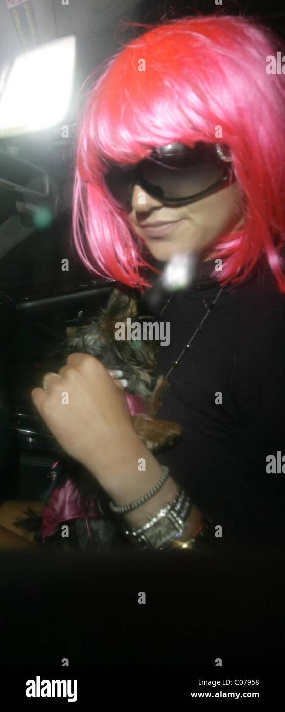 Pink wig los angeles hotsell
