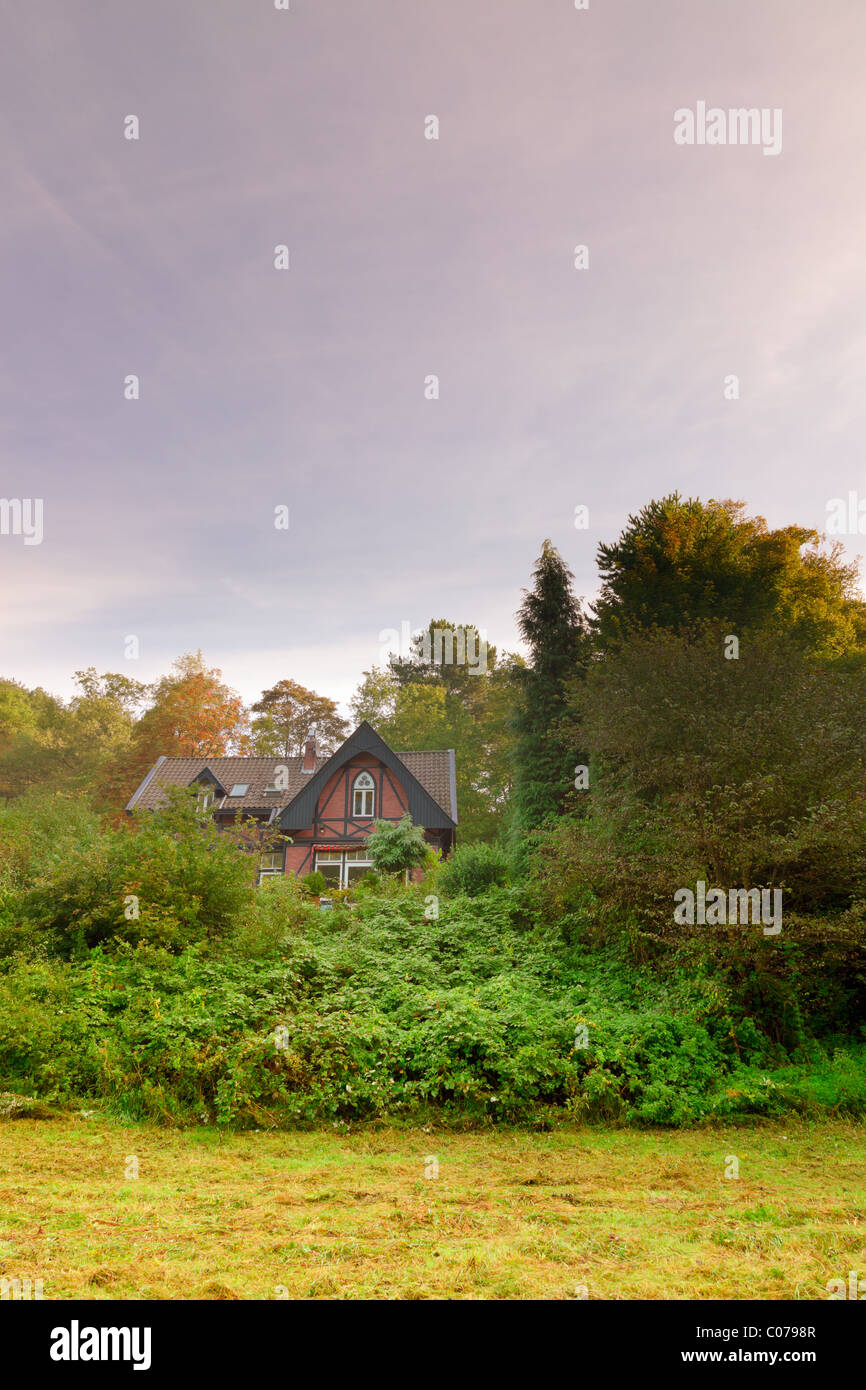 House in forest at dawn. Stock Photo