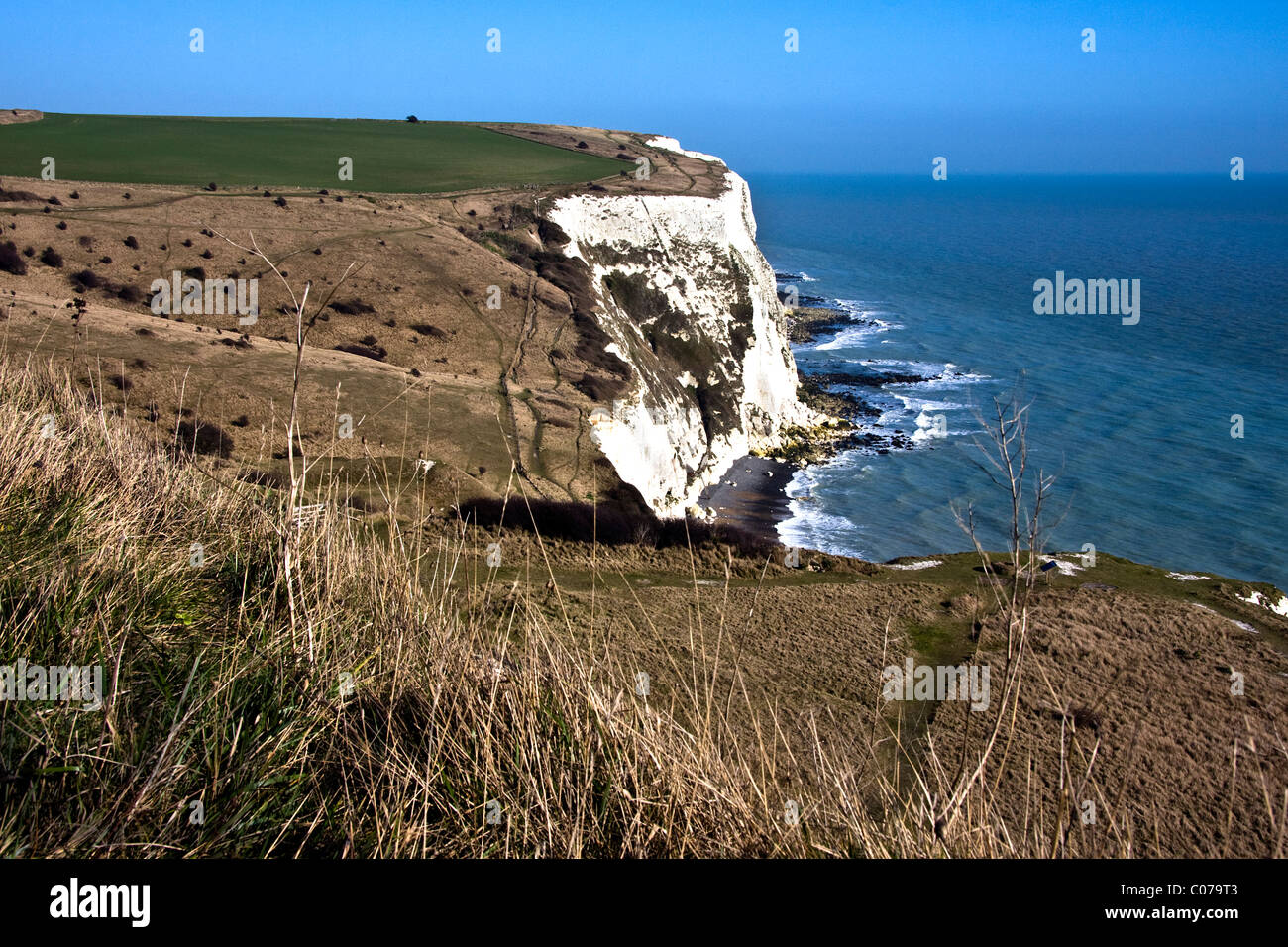 Coastal views of the White Cliffs of Dover on National Trust land with spectacular, hair raising views of the English Channel Stock Photo