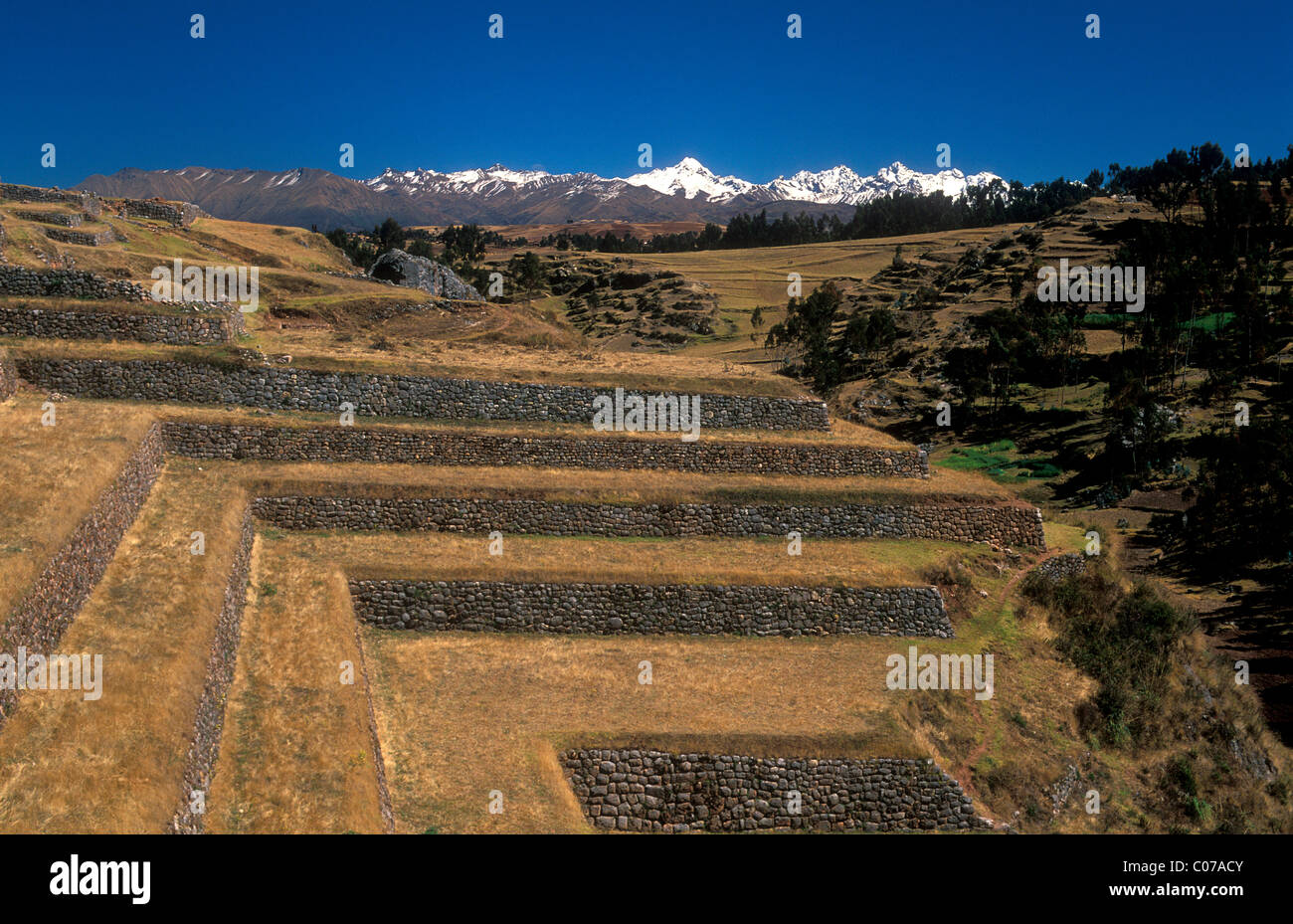Agricultural terraces of the Inca, in the back the Andes mountains